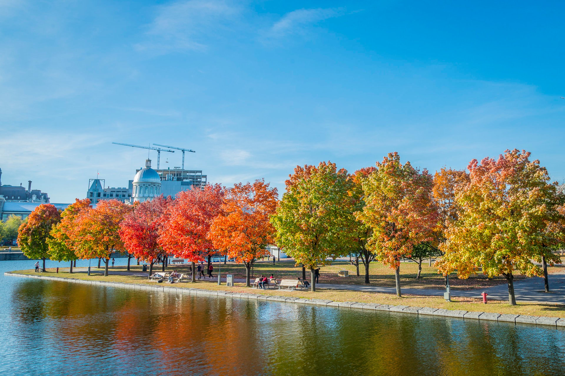Best Time to See Fall Foliage in Montreal 2024 When to See Rove.me