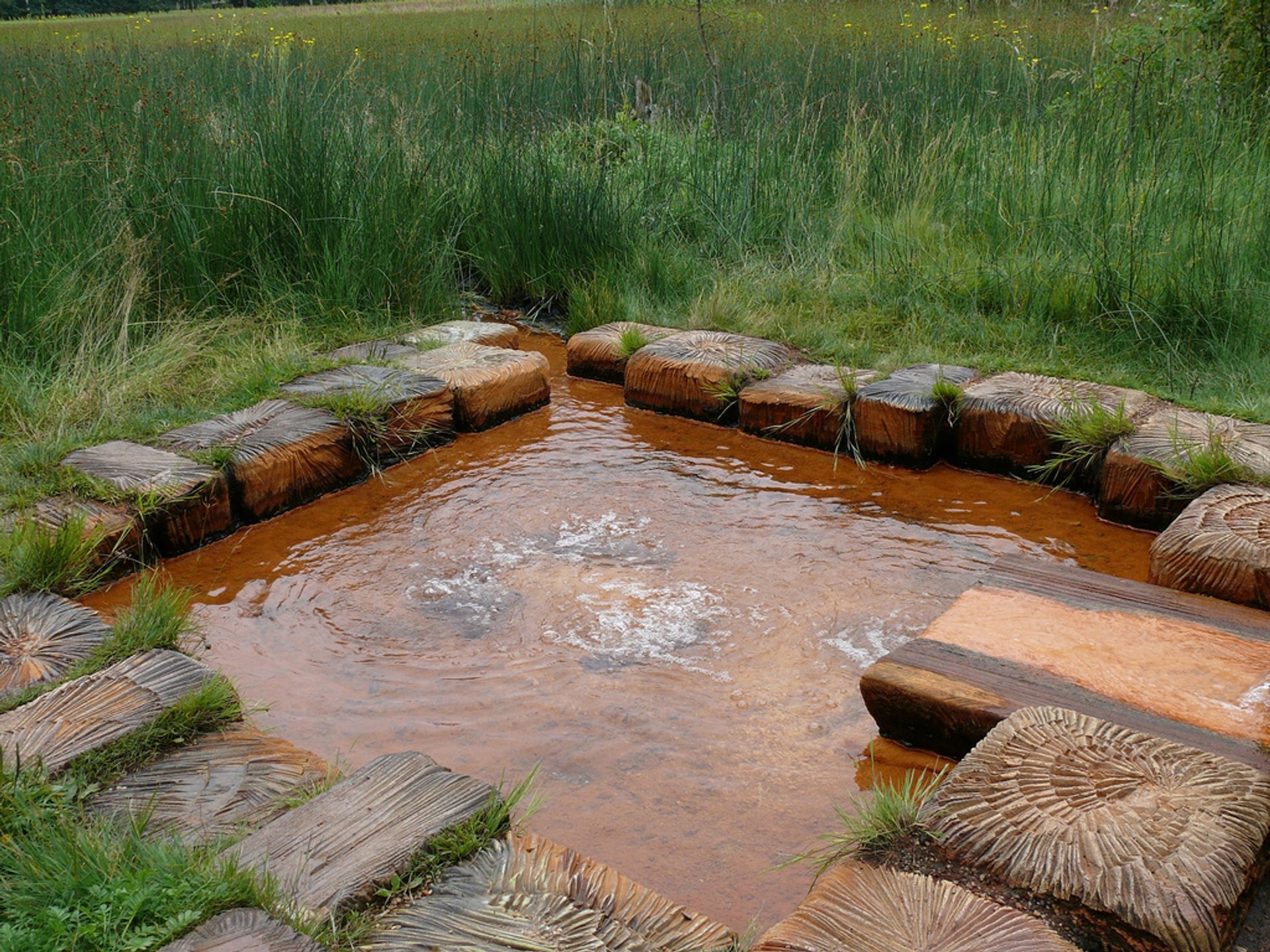 Naturschutzgebiet Soos