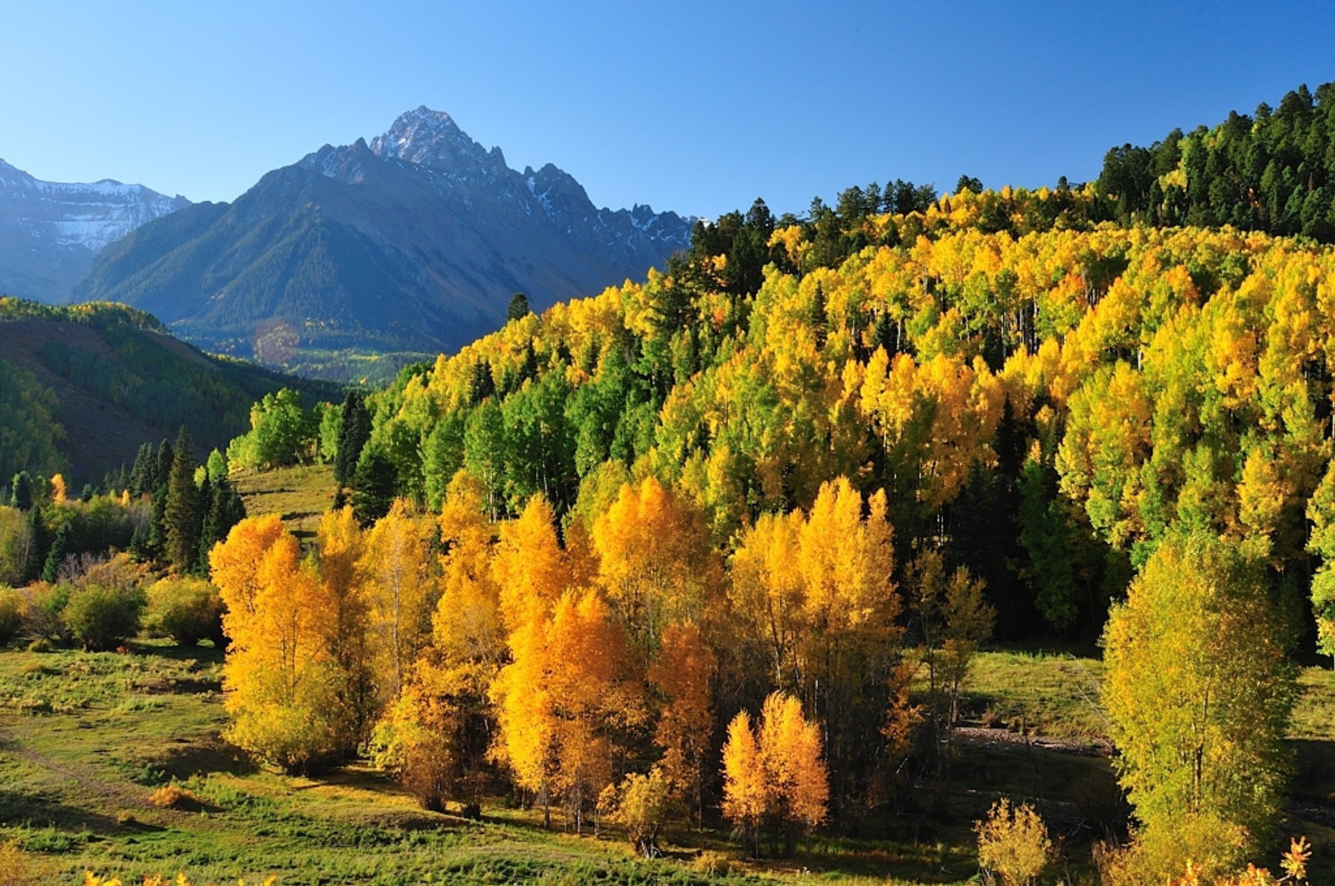 Colori autunnali del Colorado