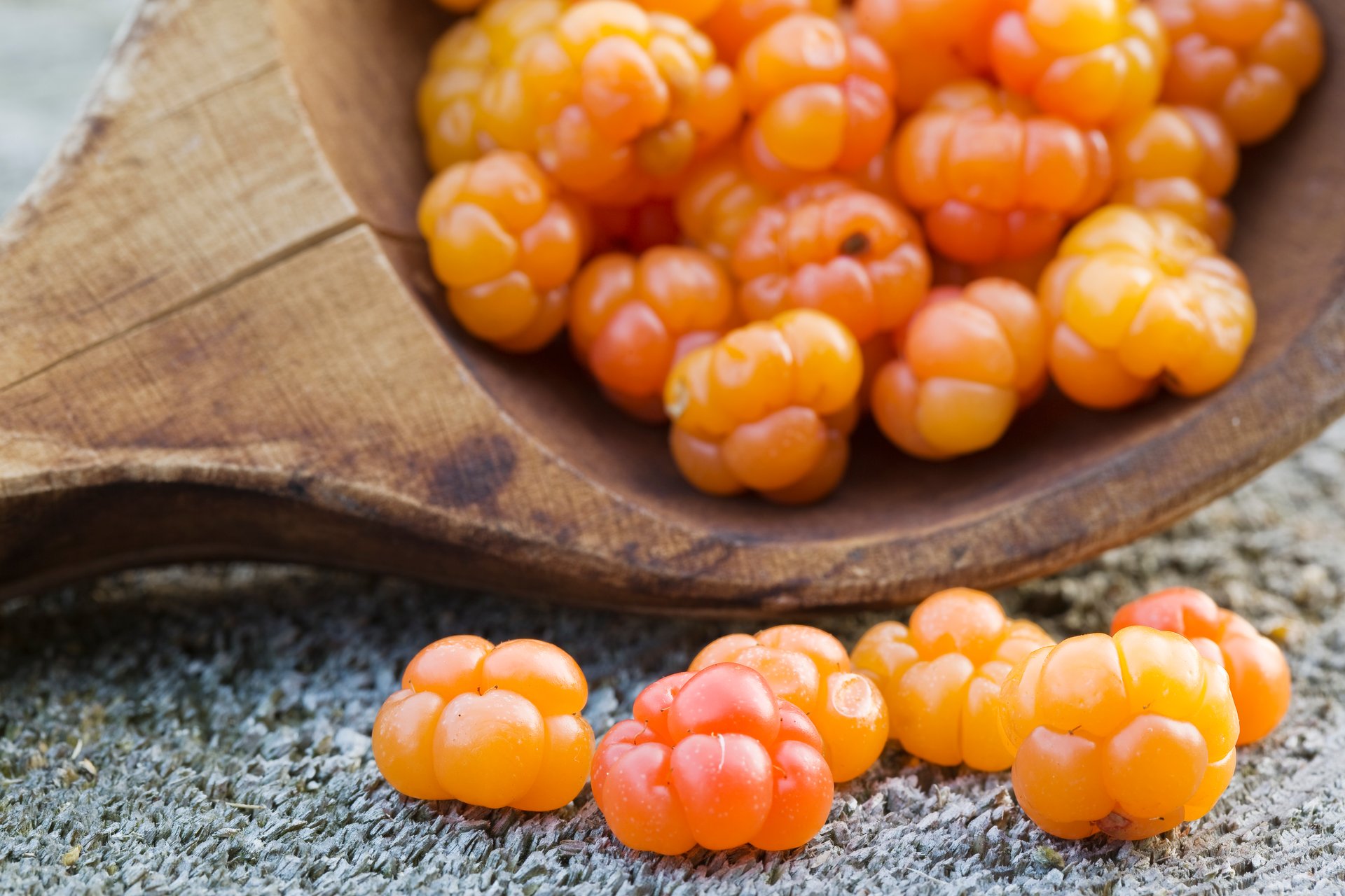 Stagione dei frutti di bosco