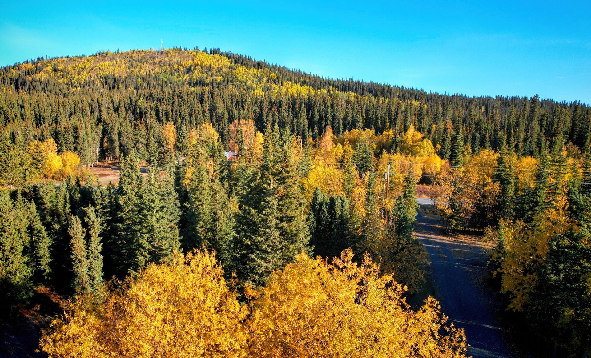 Alaska Herbstfarben