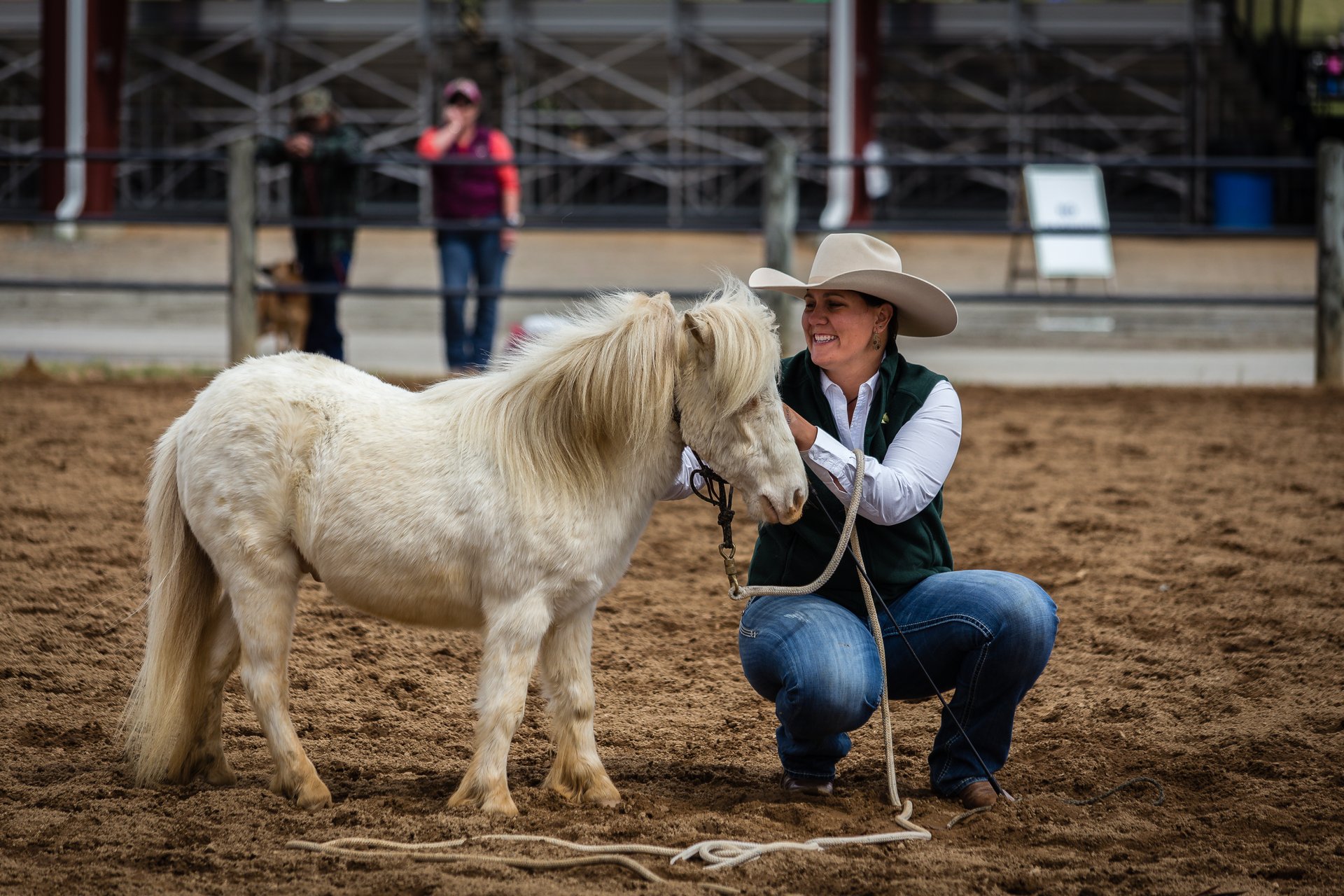 Virginia Horse Festival