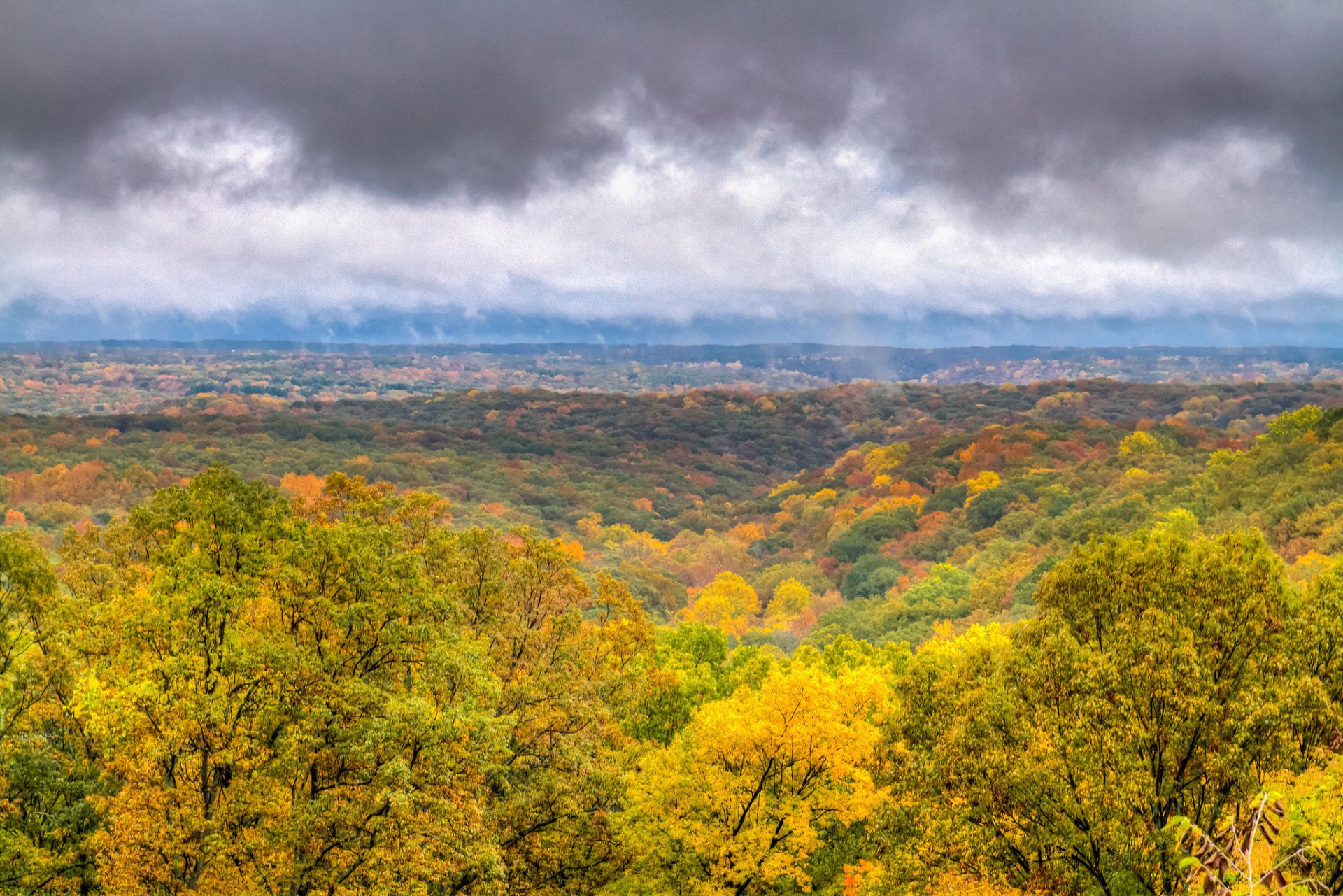 Colori autunnali dell'Indiana