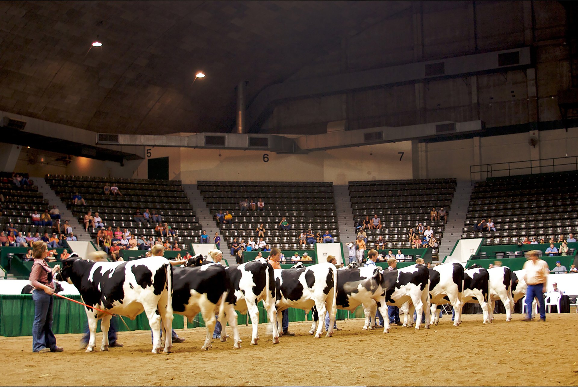 Feria Estatal de Minnesota