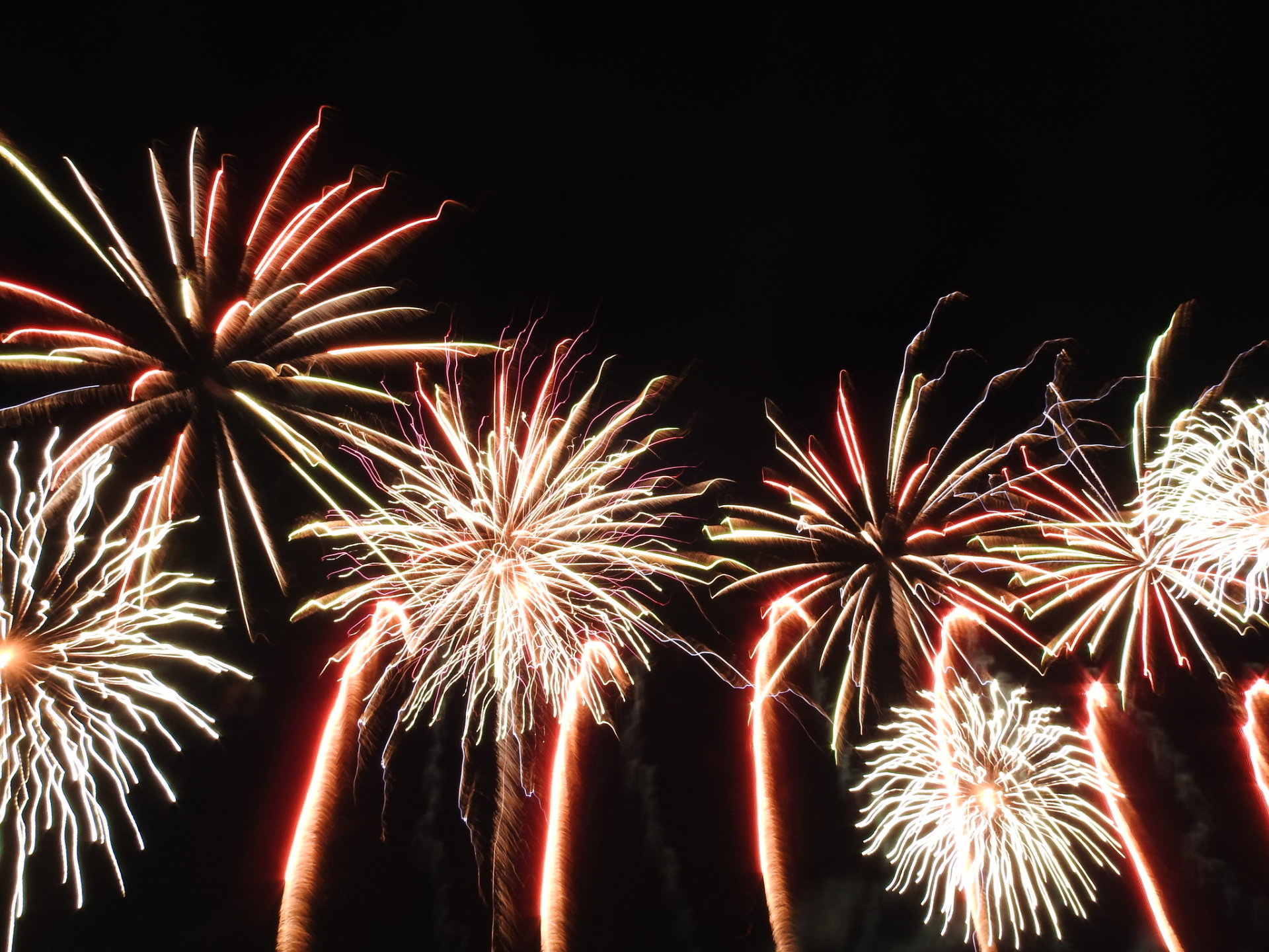 Palatine Hometown Fireworks, Festivals & Shows 