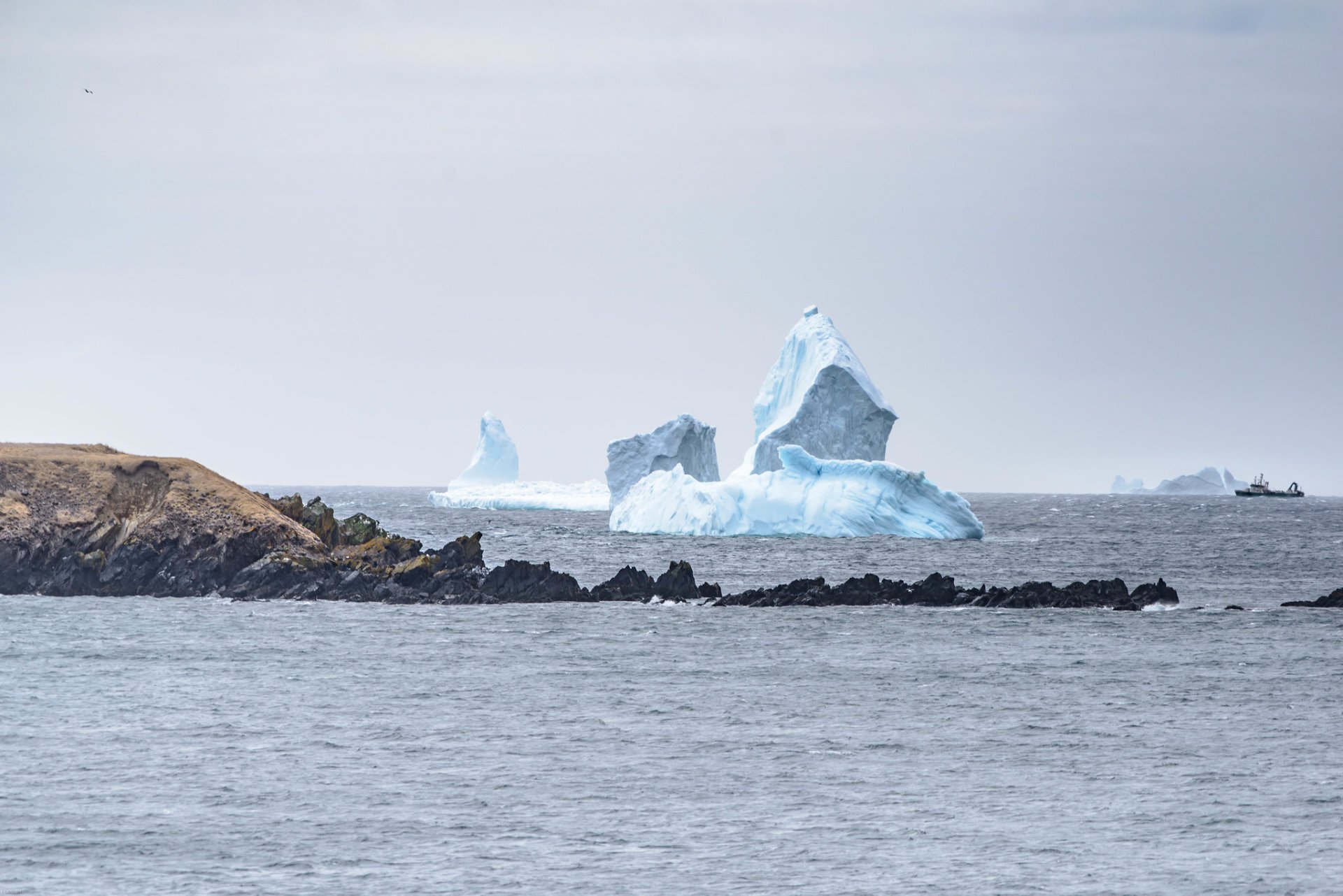 Iceberg Alley