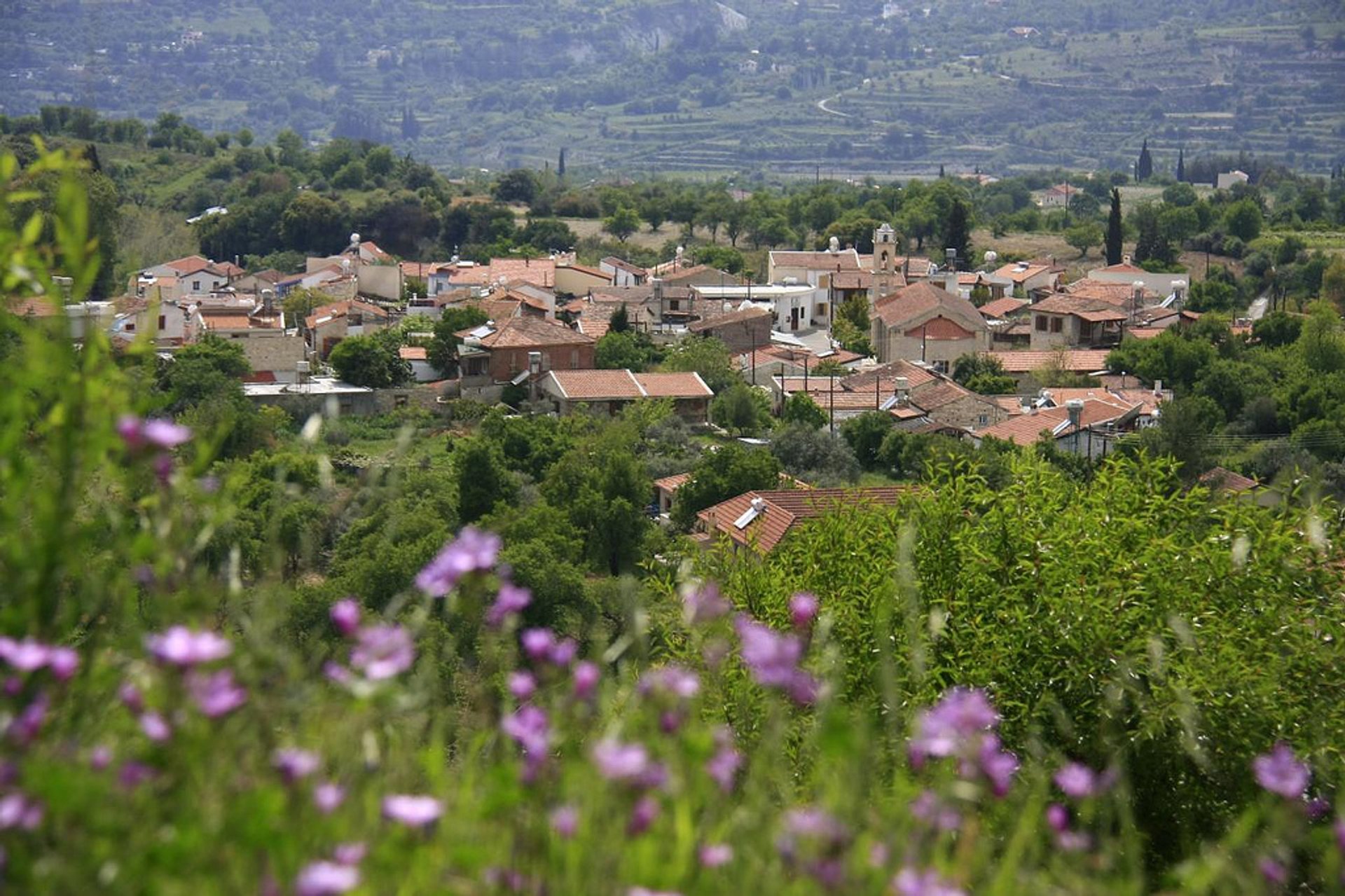 Antestíria ou Festivais de Flores