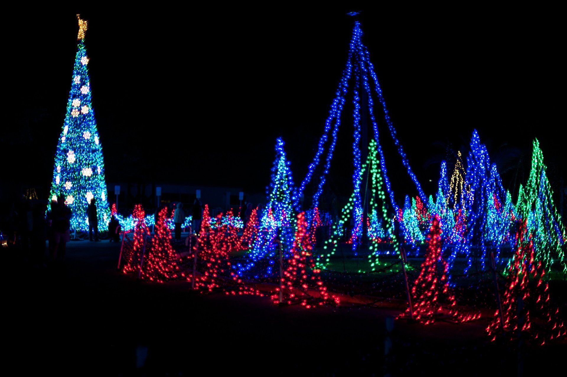 Lumières de Noël de Sarasota