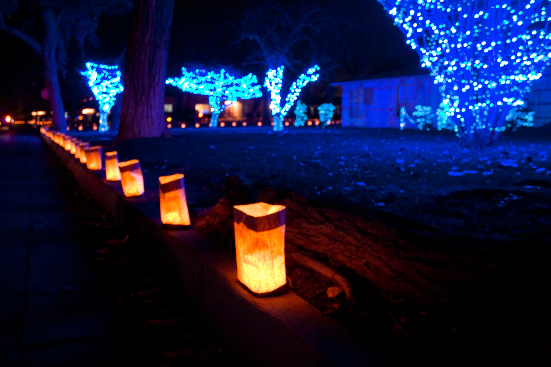 Christmas Lights in Albuquerque