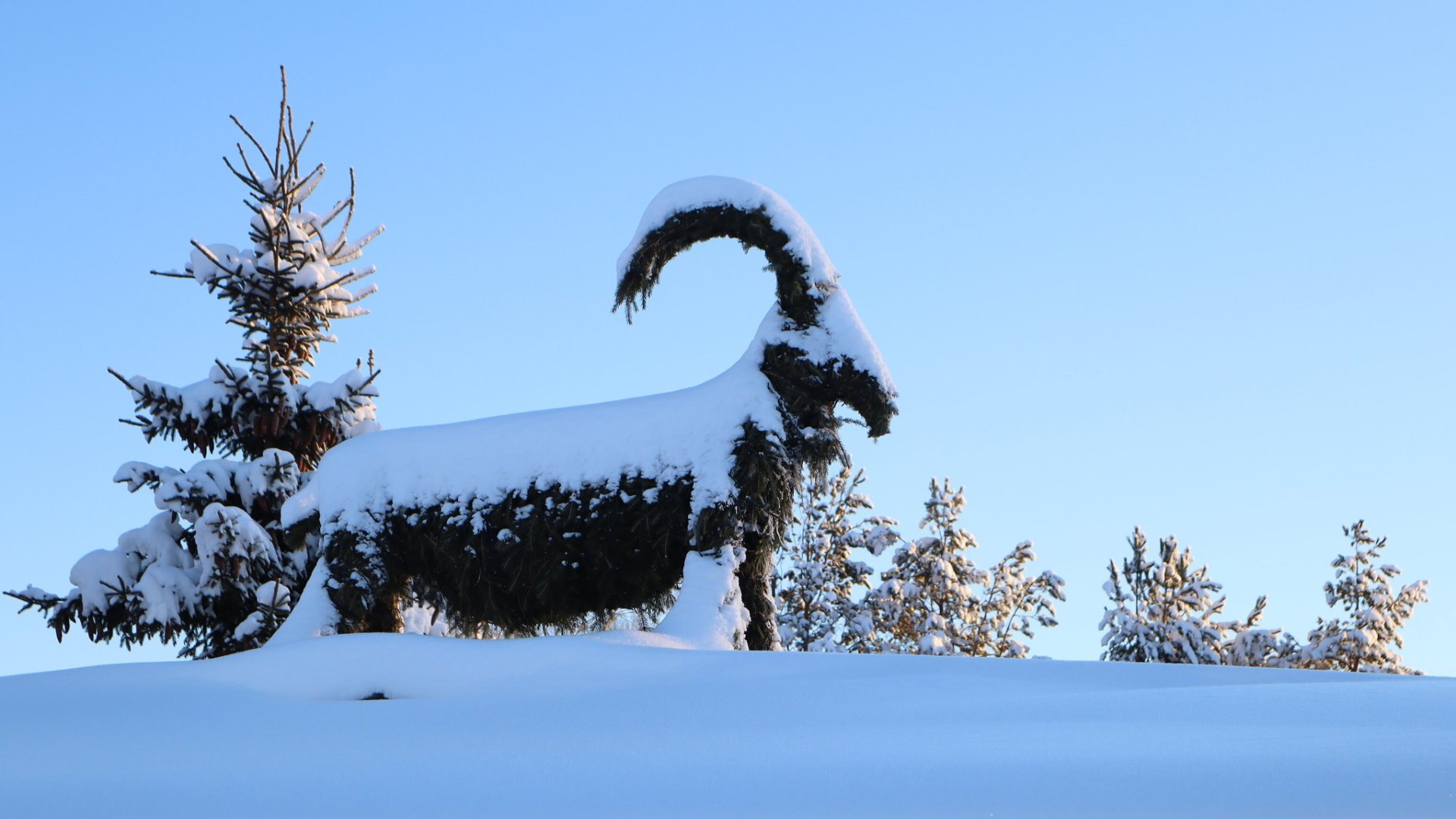 A Christmas straw goat