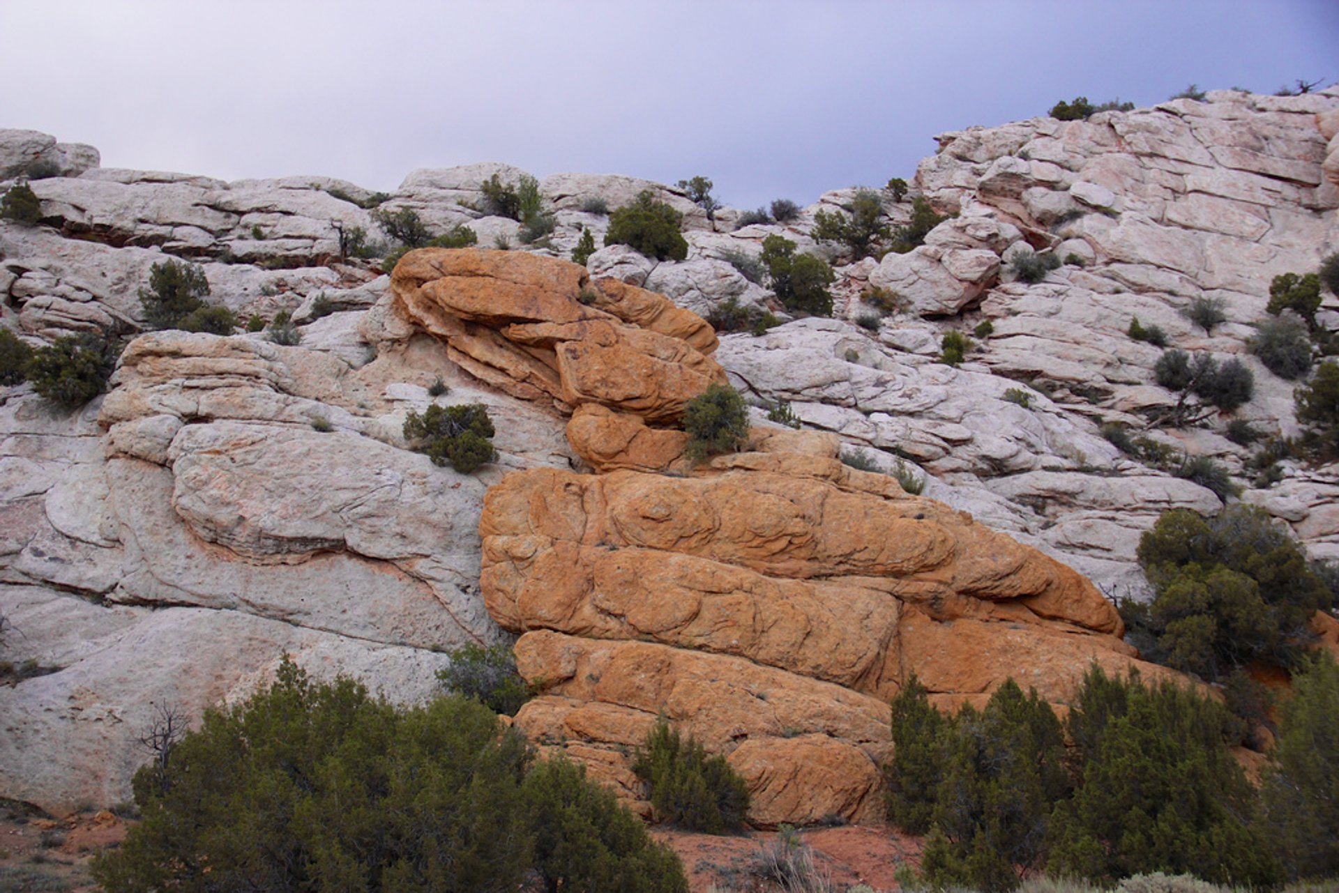 dinosaur national monument