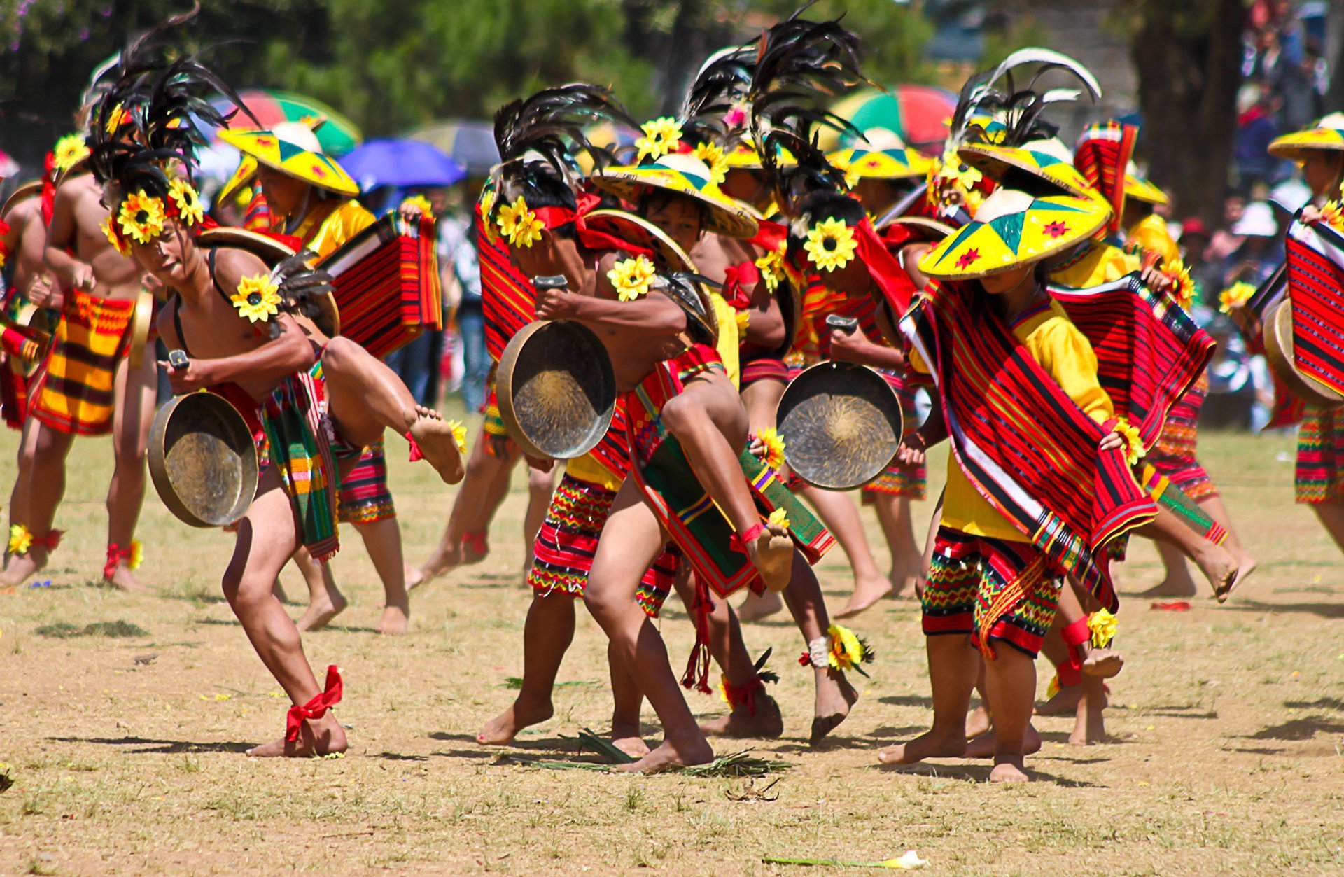 Panagbenga Infographic