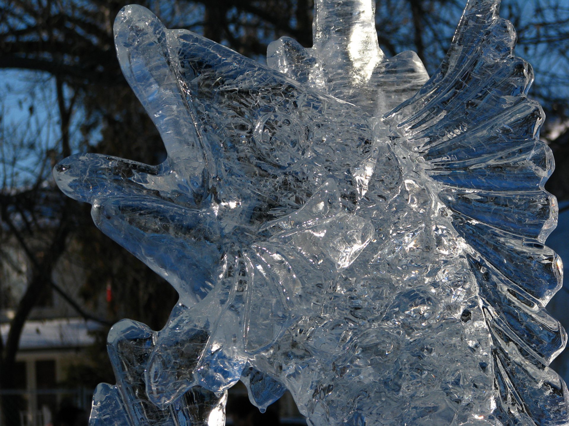 Boardwalk Ice On Whyte