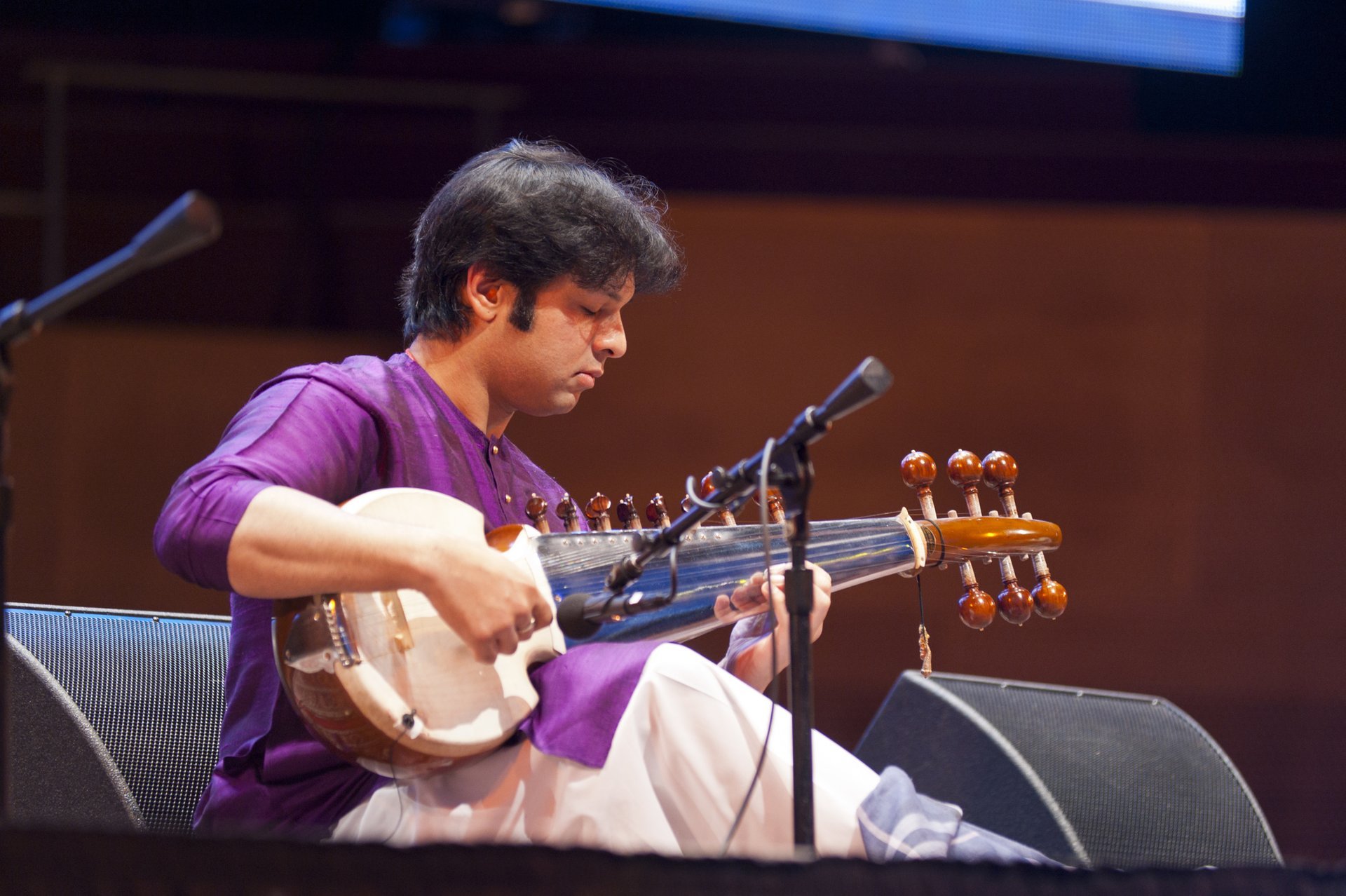 Festival della musica del mondo di Chicago