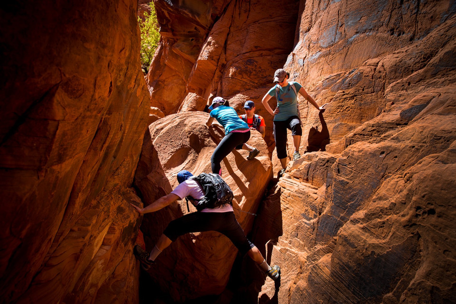 Randonnée pédestre dans la Valley of Fire