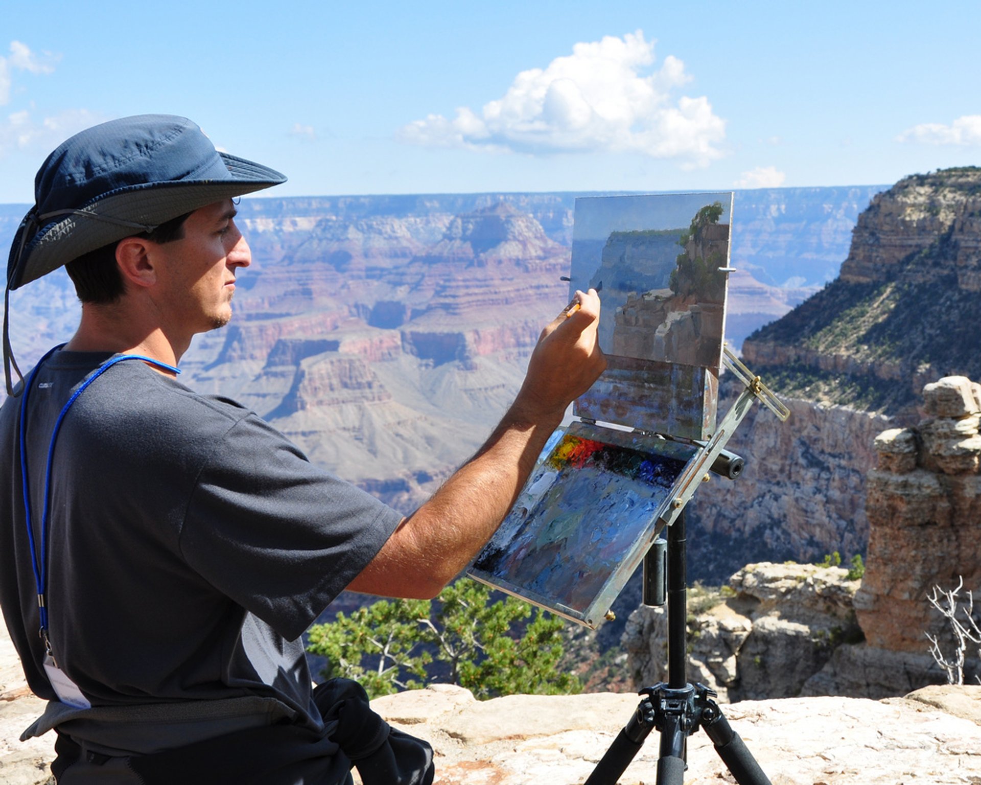 Grand Canyon Celebration of Art