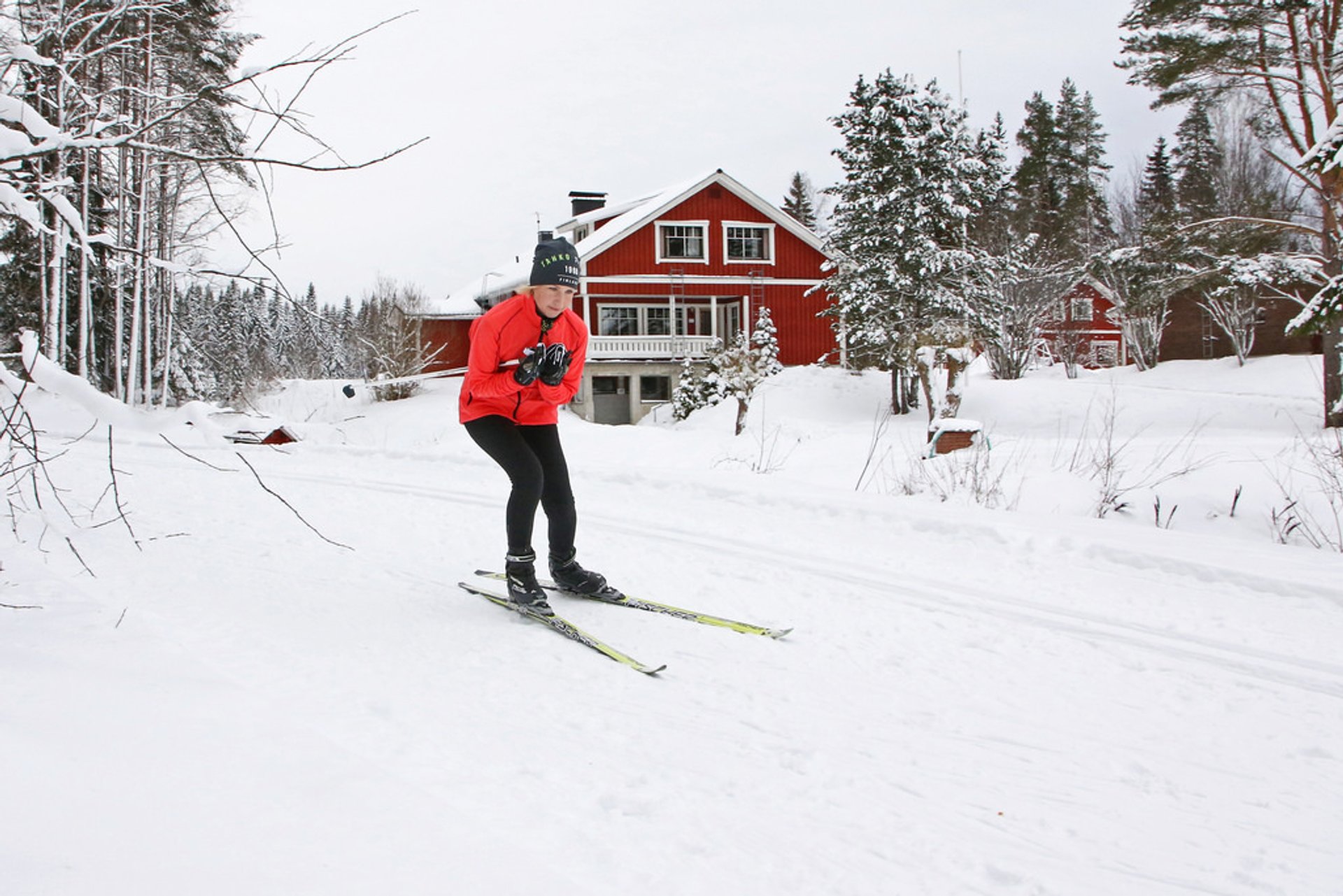 Ski de fond