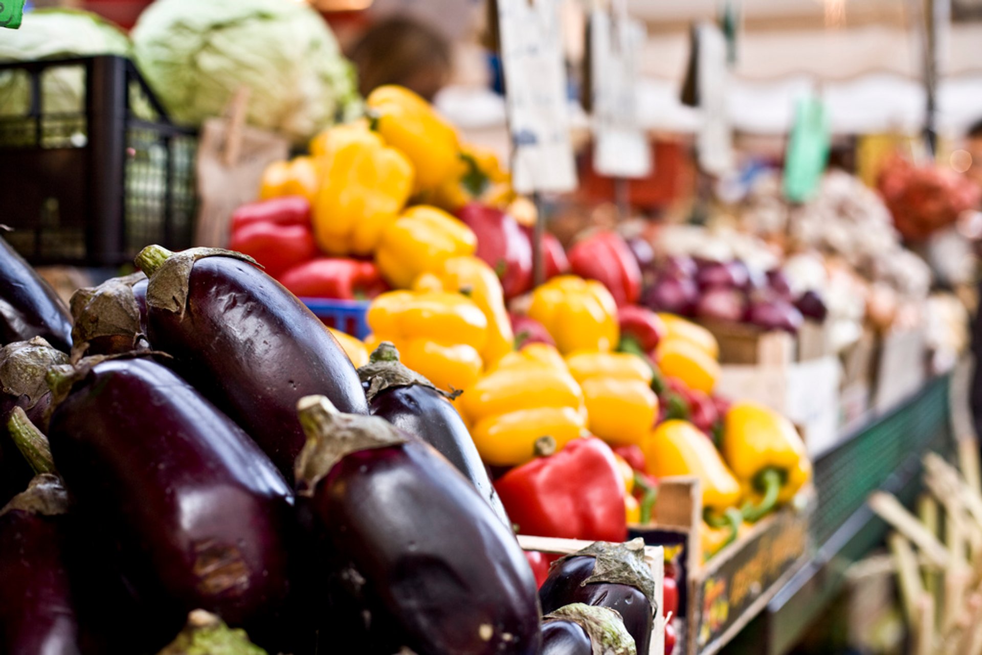 Saison de l'aubergine