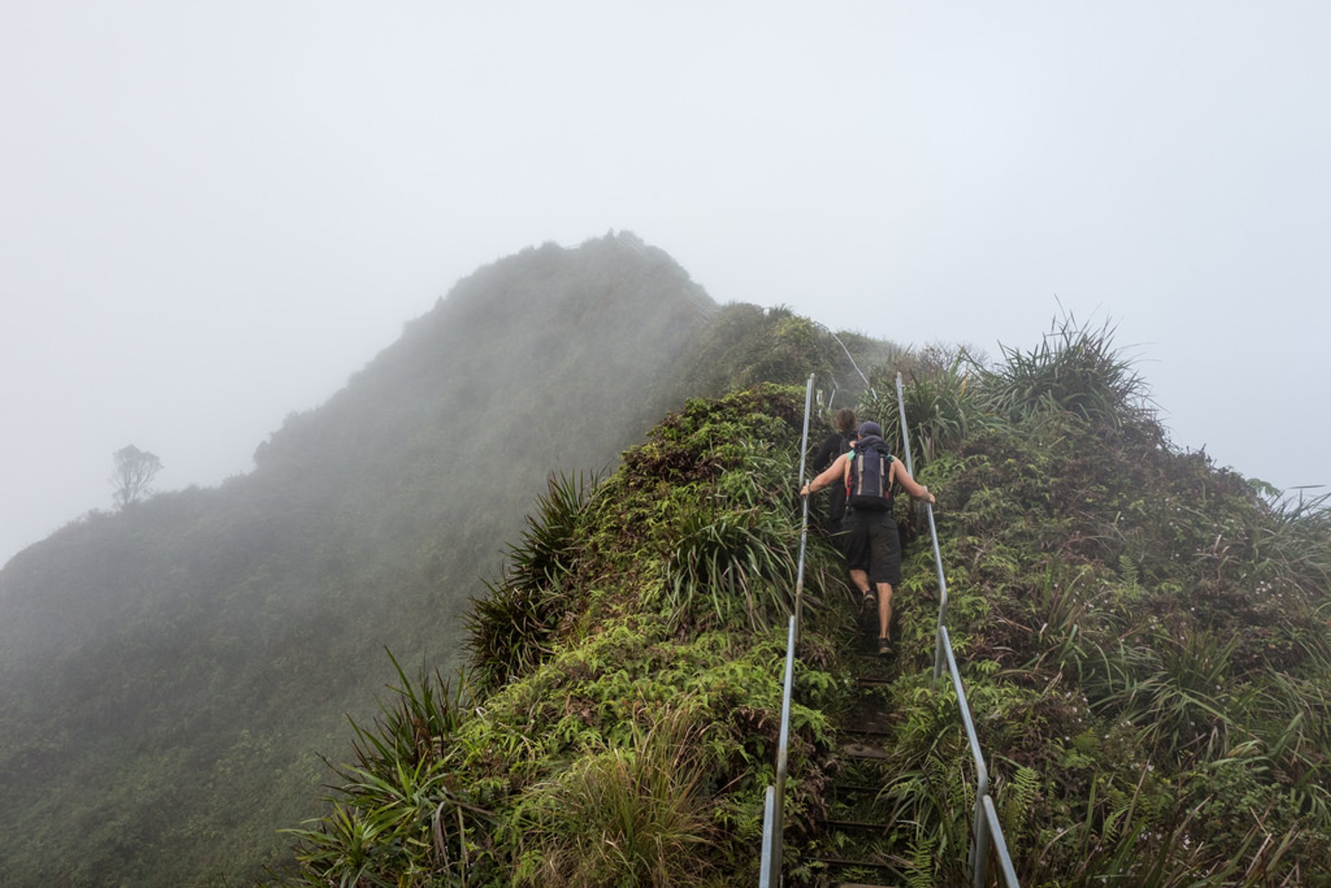 Sentiero della valle di Moanalua per le scale di Haiku