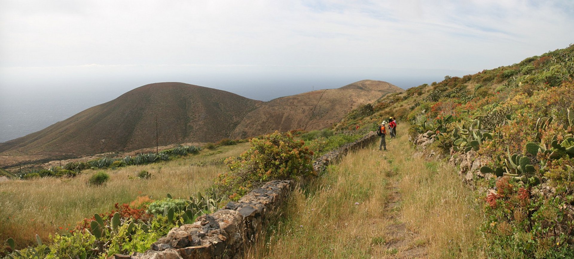 Hiking