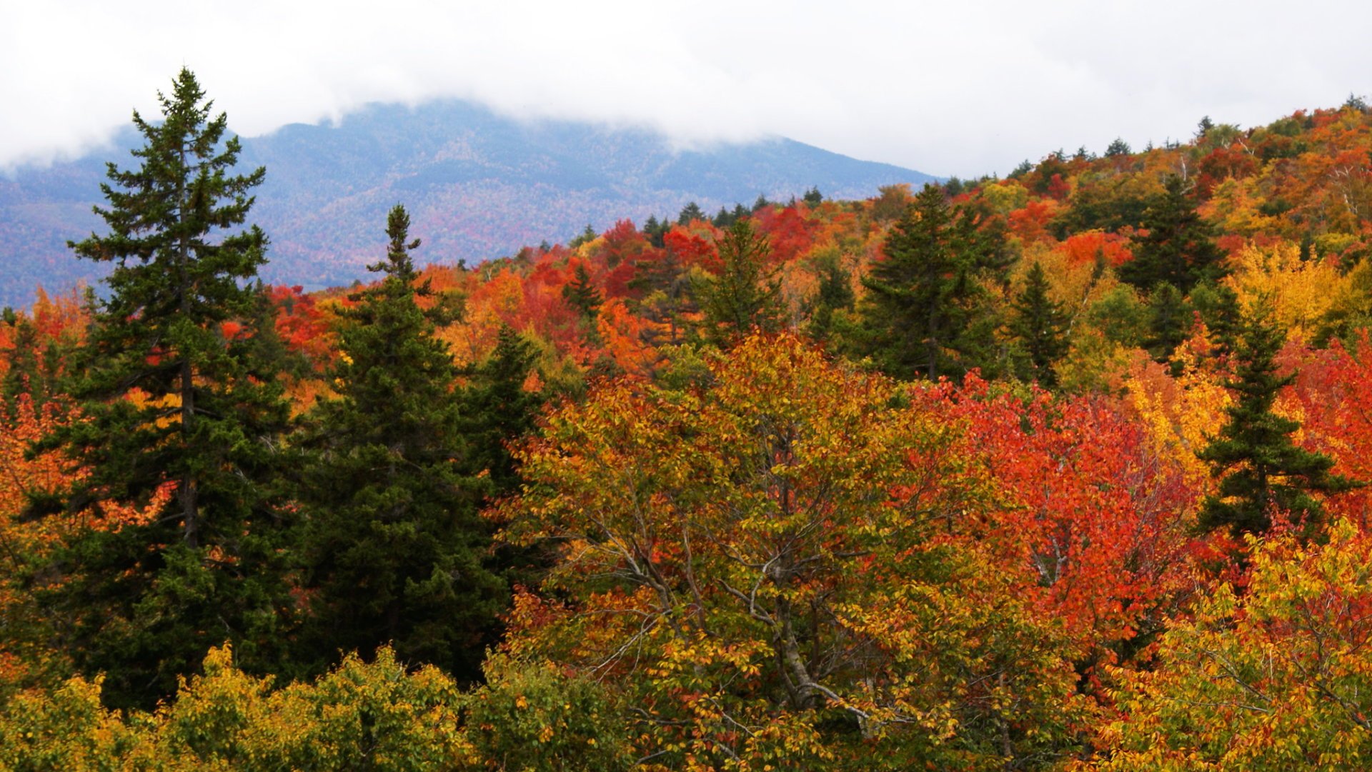 Autopista Kancamagus en otoño con follaje.