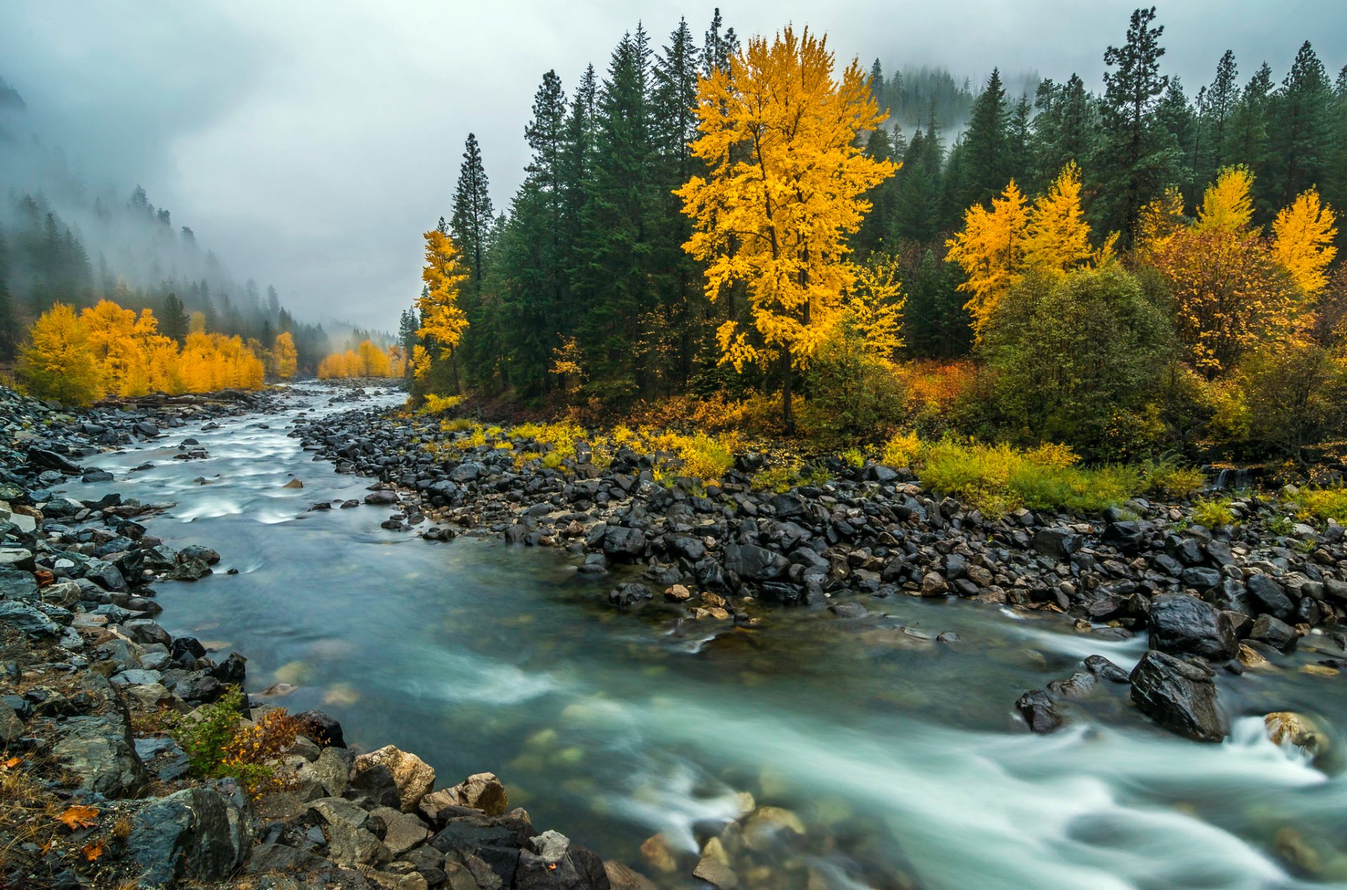 Herbstlaub des Wenatchee-Sees