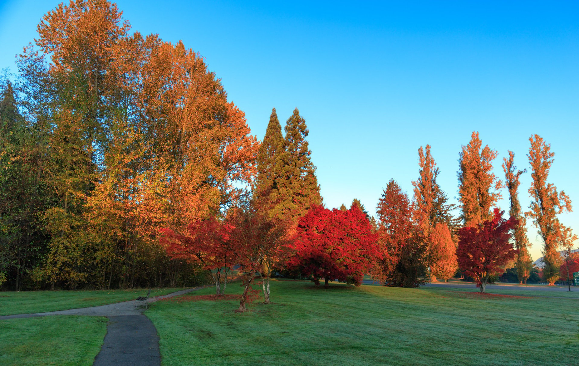 Fall Colors in Vancouver