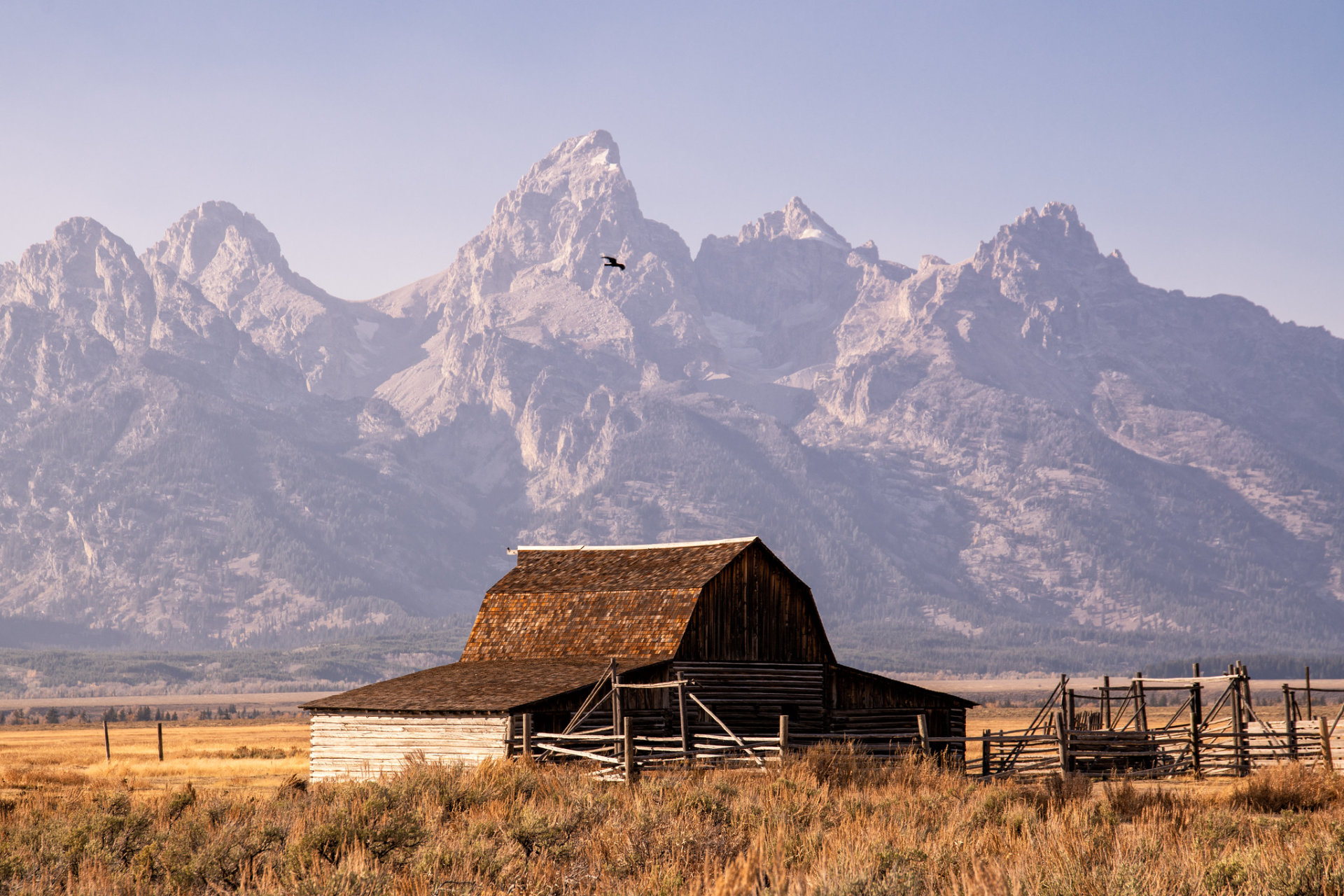 Grande Teton Cores de Outono