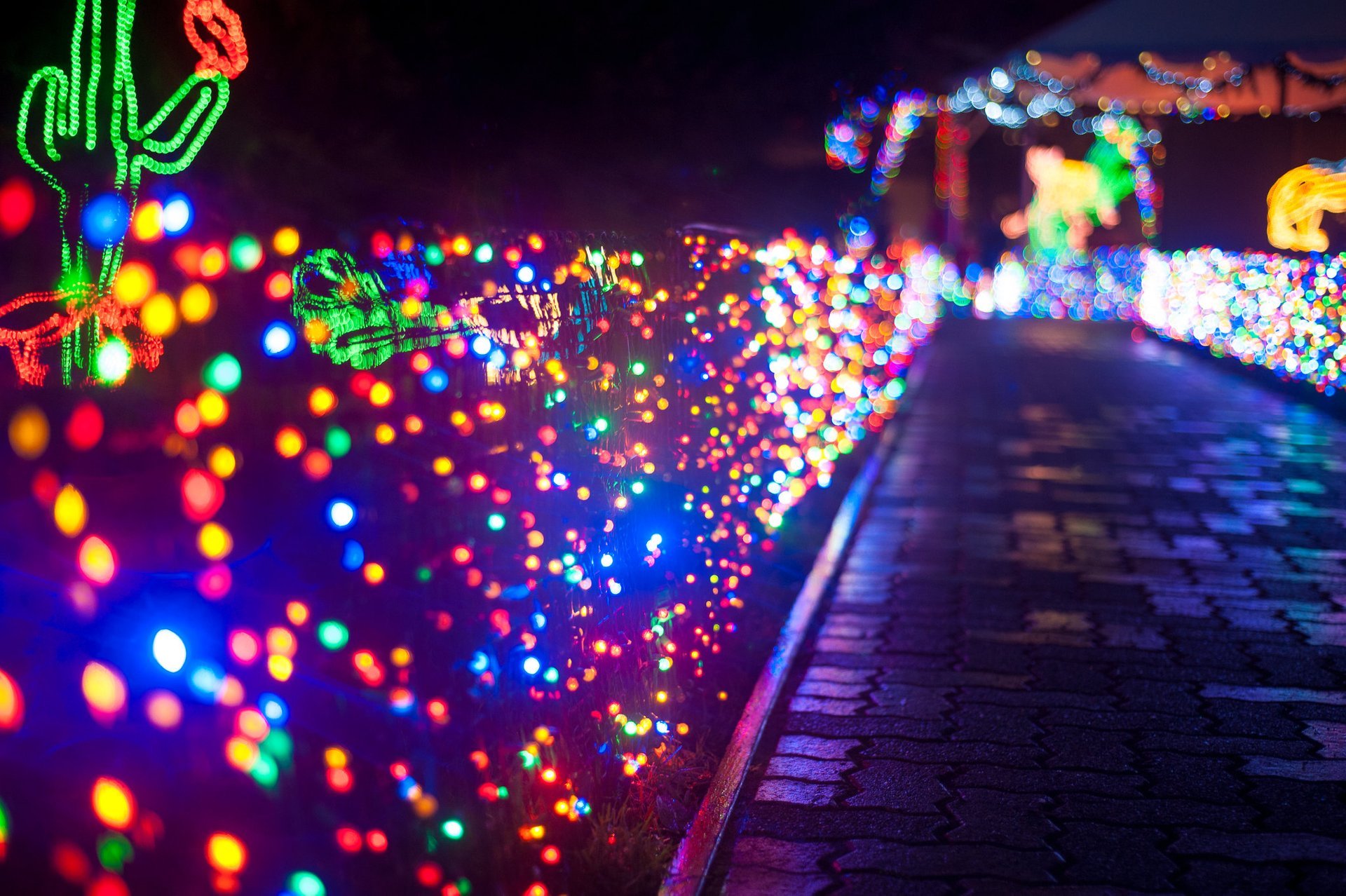 Weihnachtslichter im Oregon