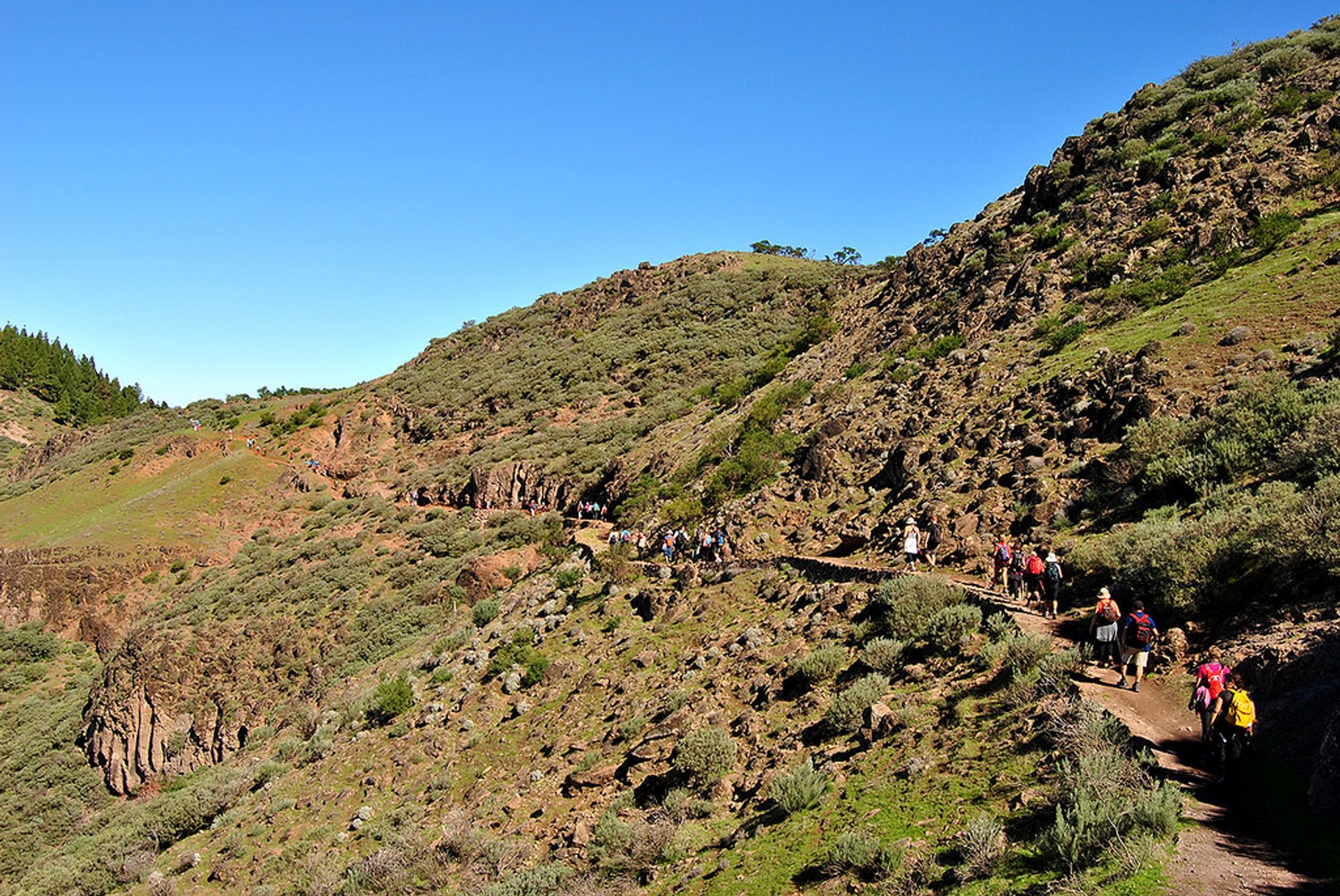 Festivais de Caminhada