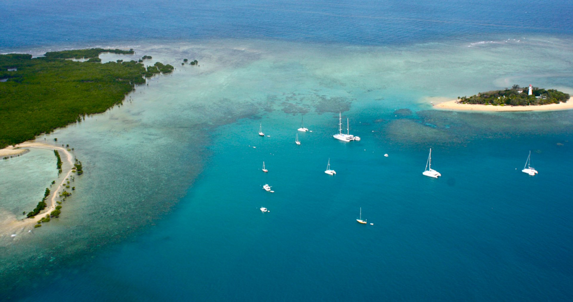 Épave de polypes de corail