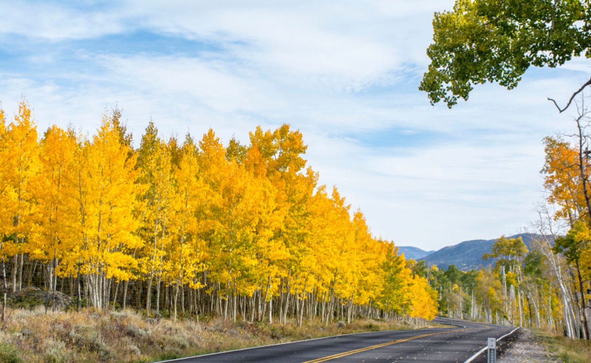Colores de otoño de Utah