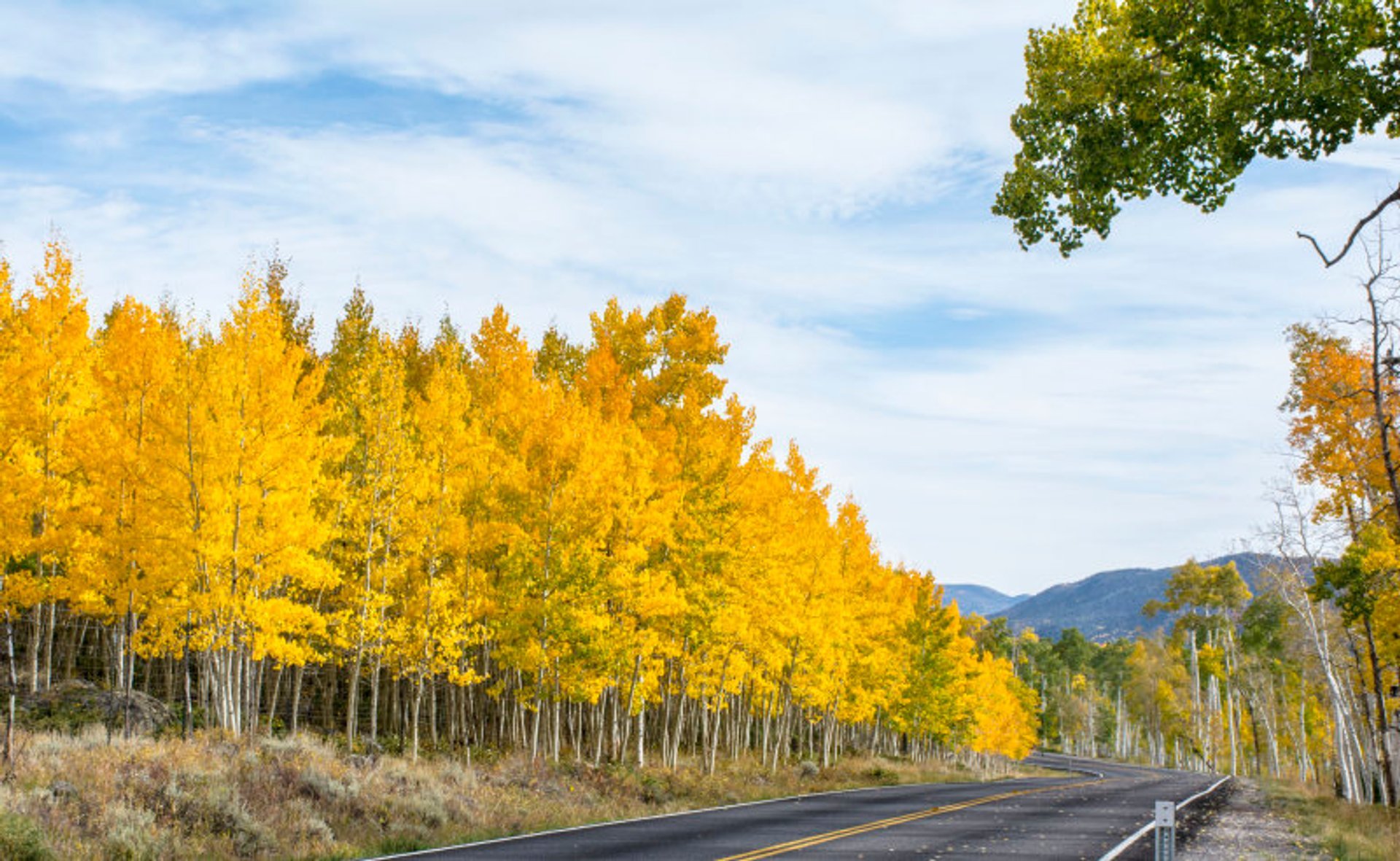 Cores de outono de Utah