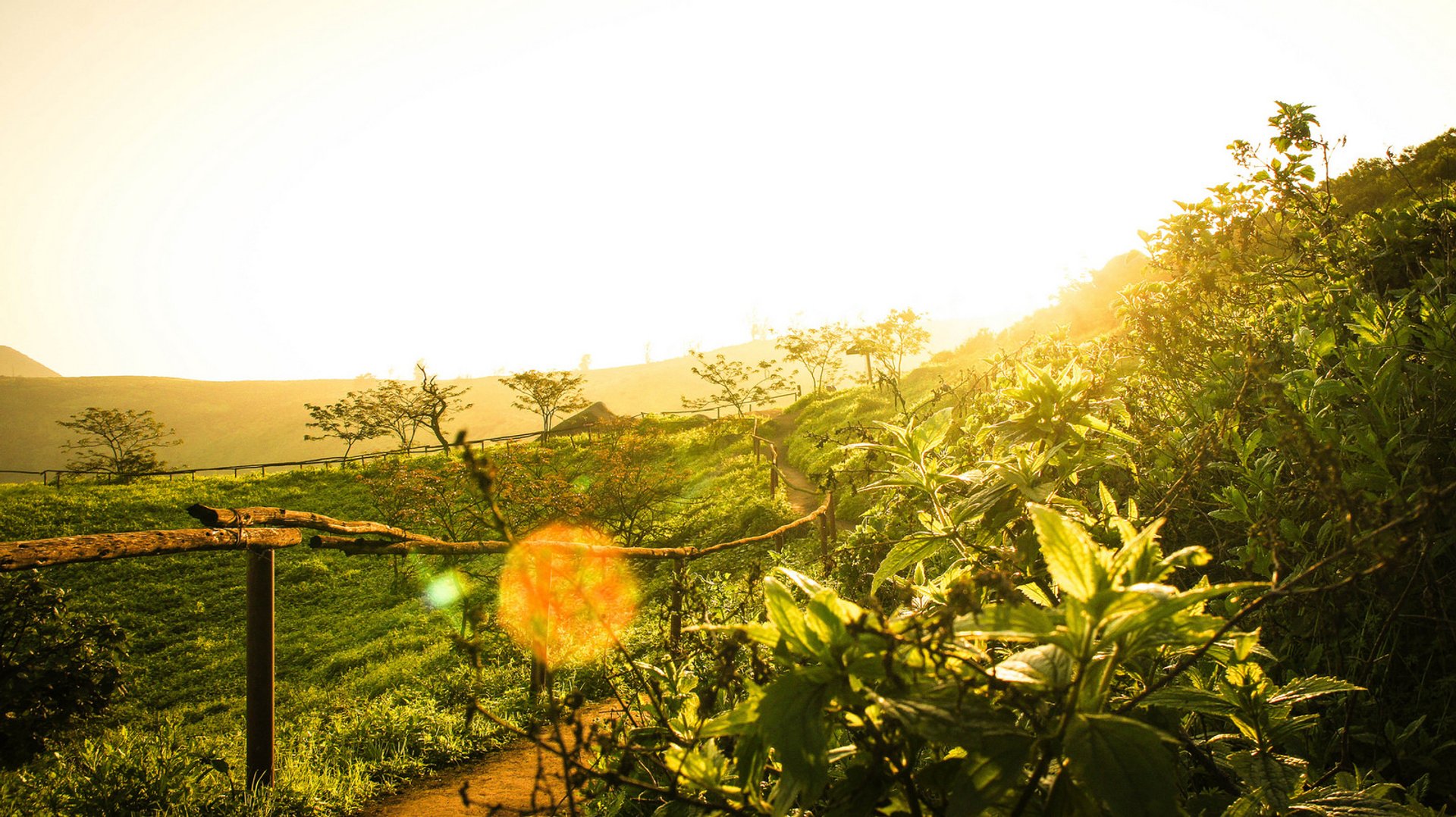 Hiking in National Reserve Lomas de Lachay in its Greenest Months