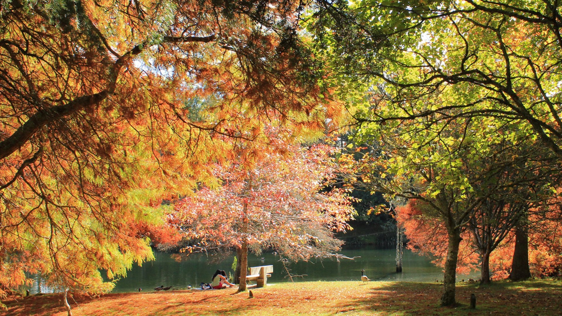 McLaren Falls Park in Autumn