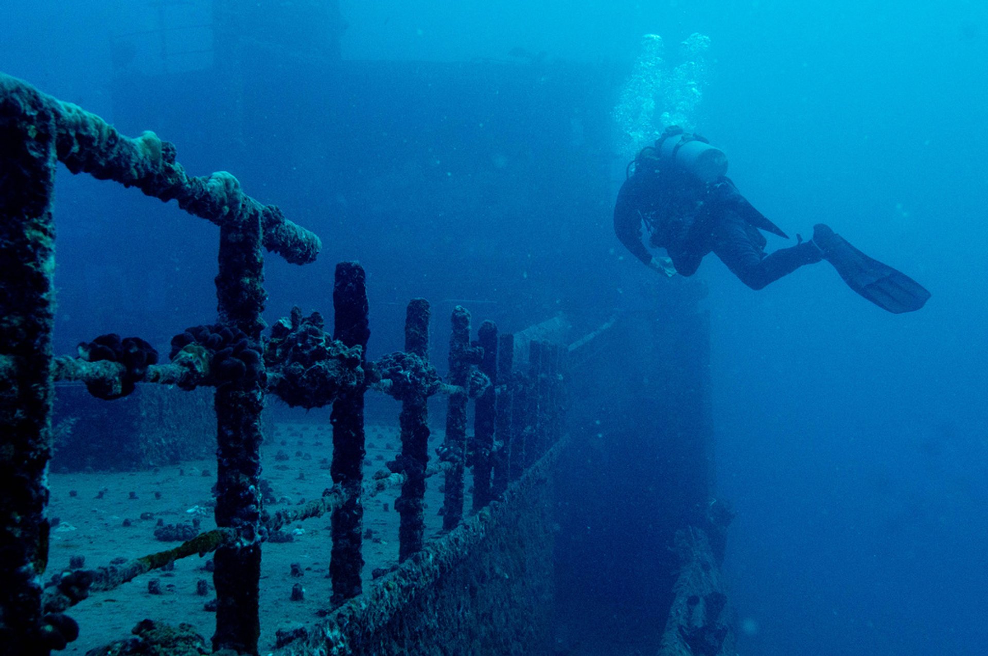 Scuba diving e snorkeling