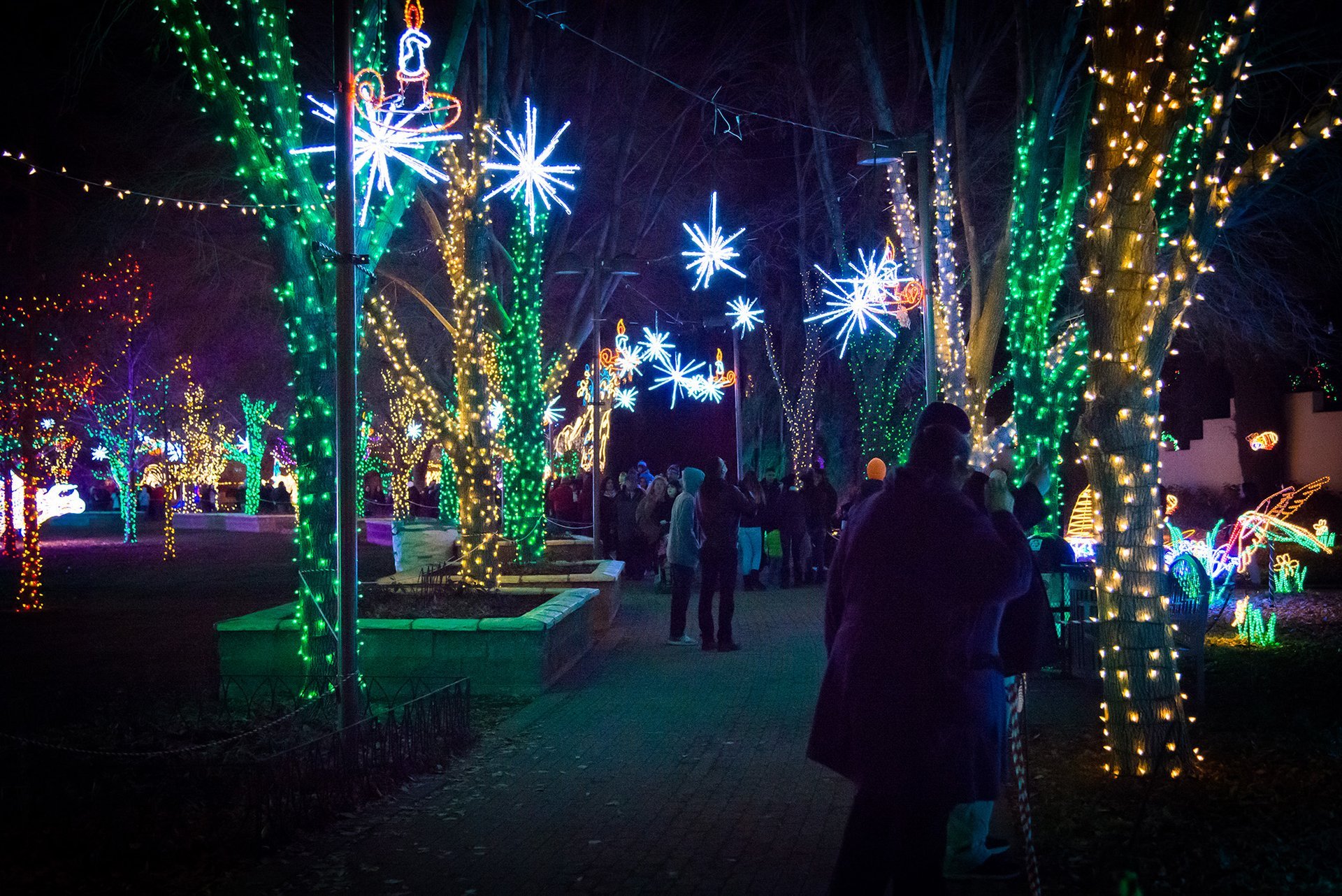 River of Lights in Albuquerque