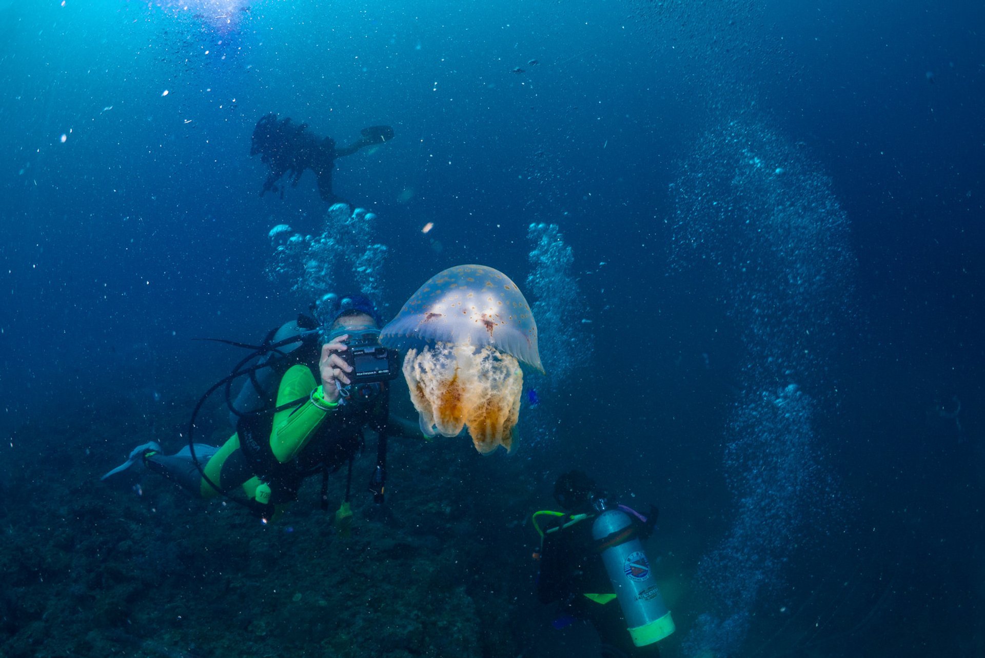 Scuba diving e snorkeling