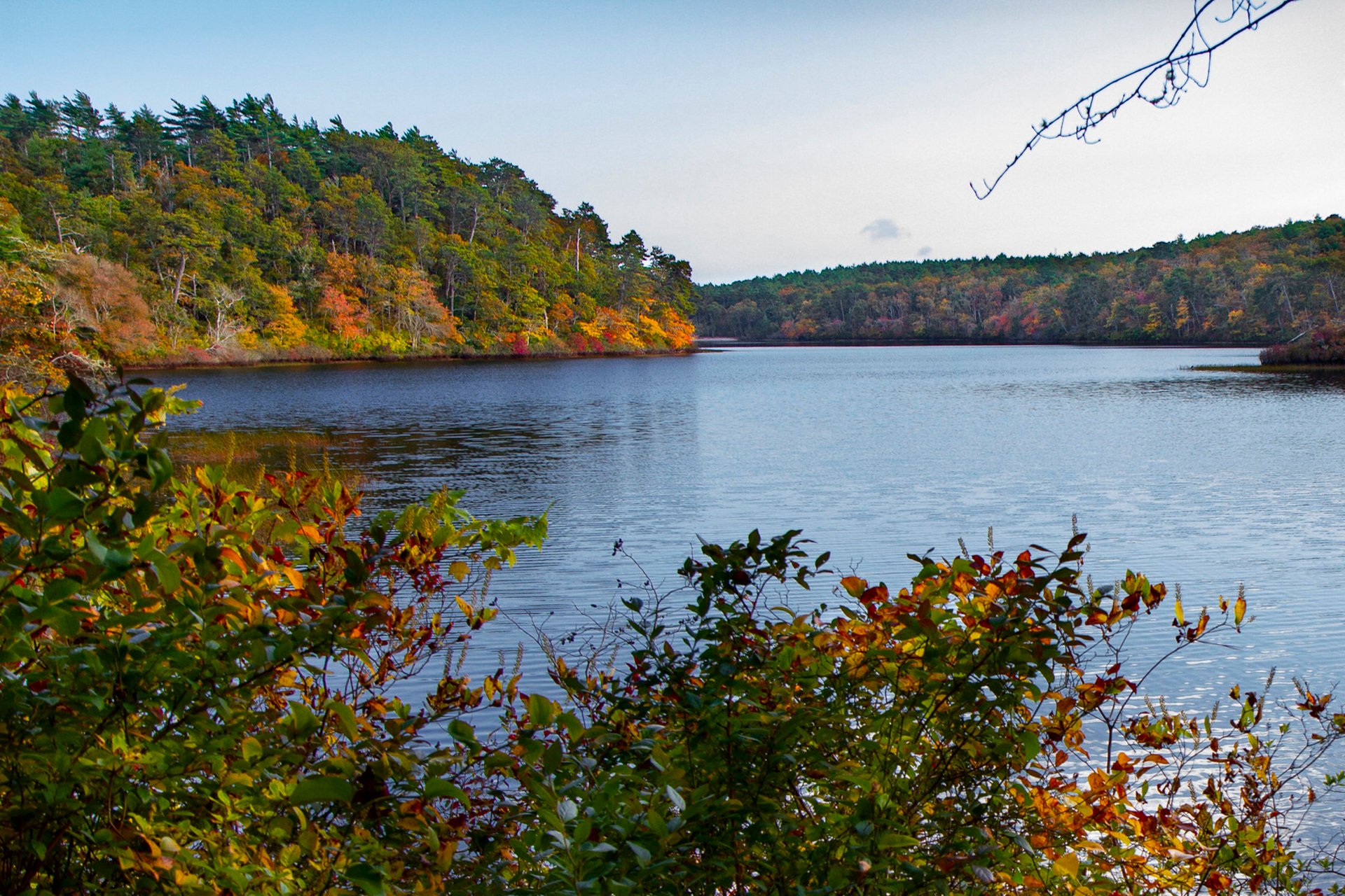 Colores de otoño de Cape Cod 