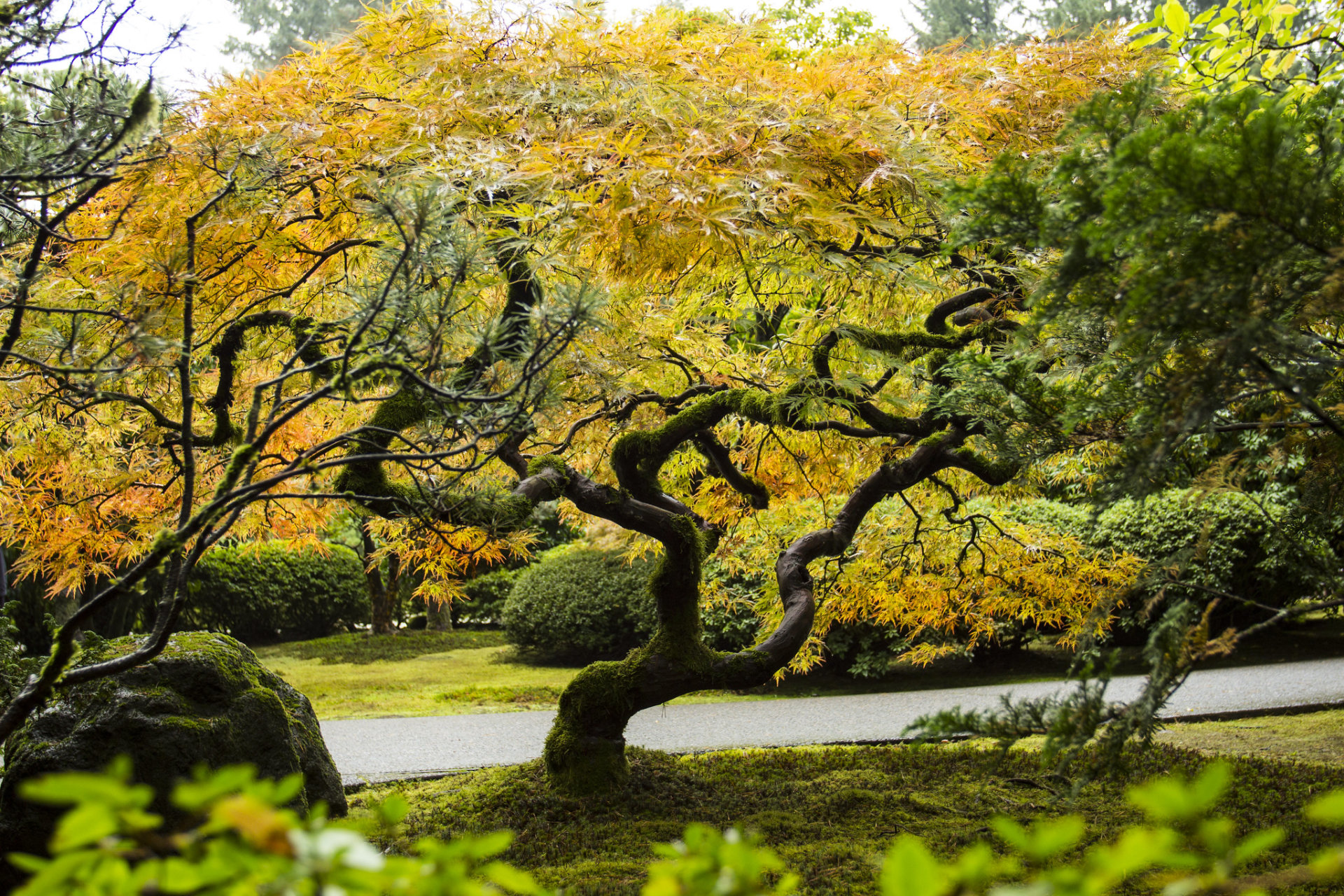 Couleurs de l'automne de Portland