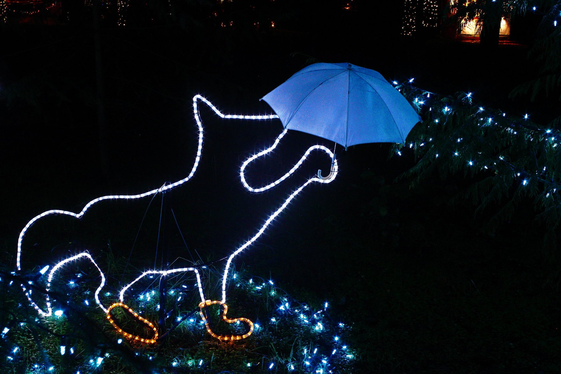 Luzes de Natal de Oregon