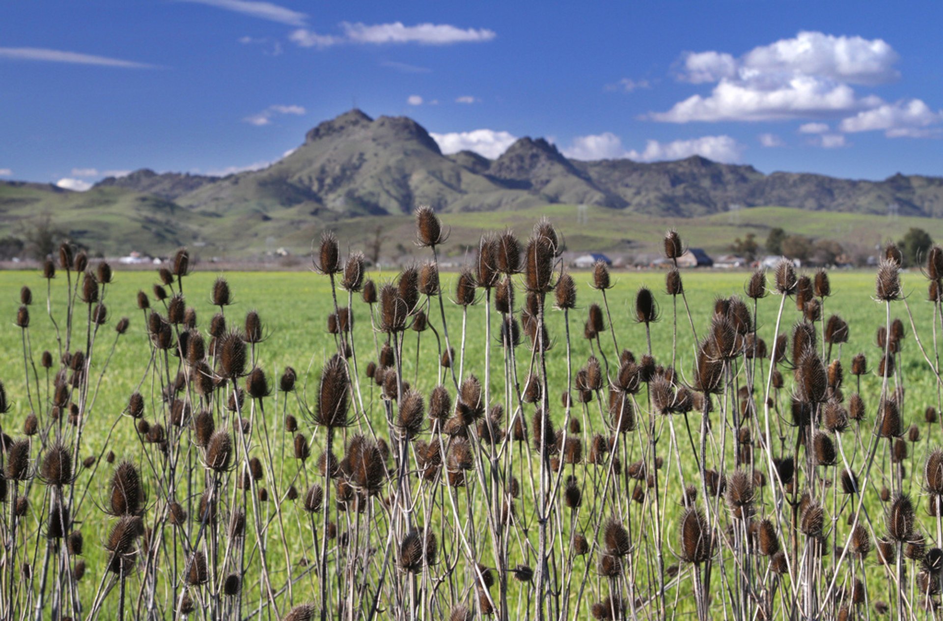 Sutter Buttes