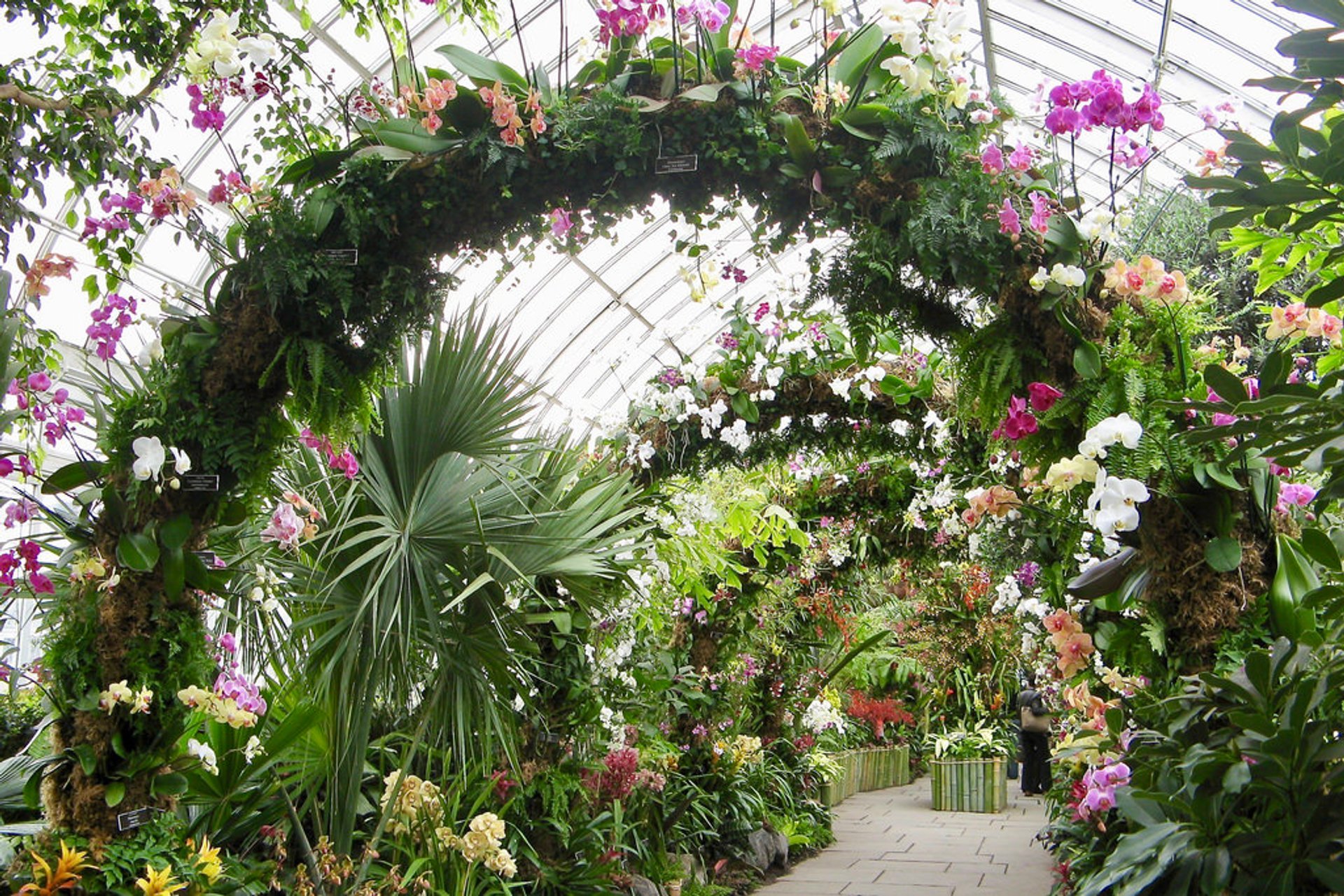 The Orchid Show At The New York Botanical Garden Garden Likes