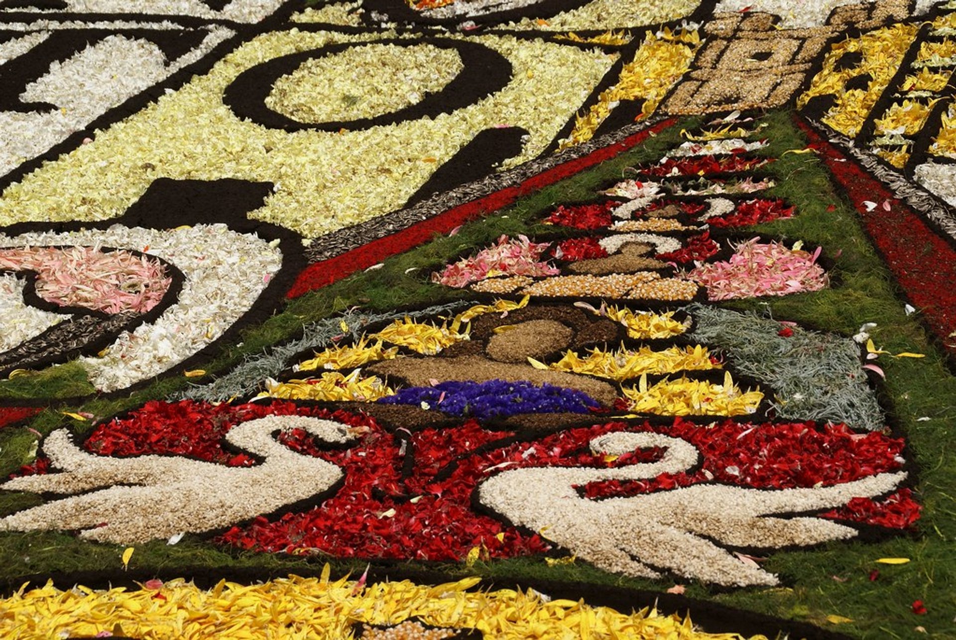 Infiorata Flower Carpet Festivals in Italia, 2024