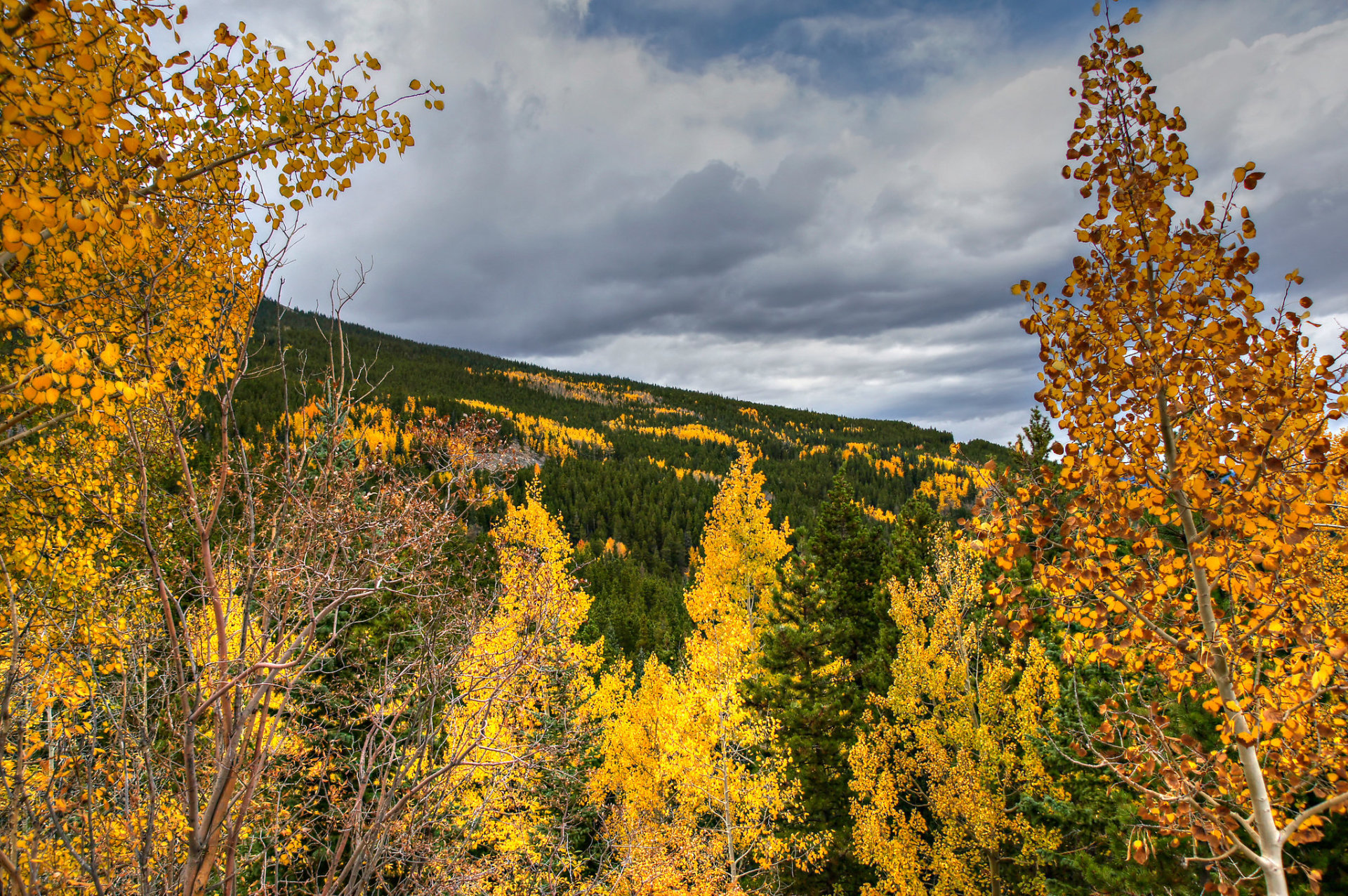 Cores de Outono do Squaw Pass 