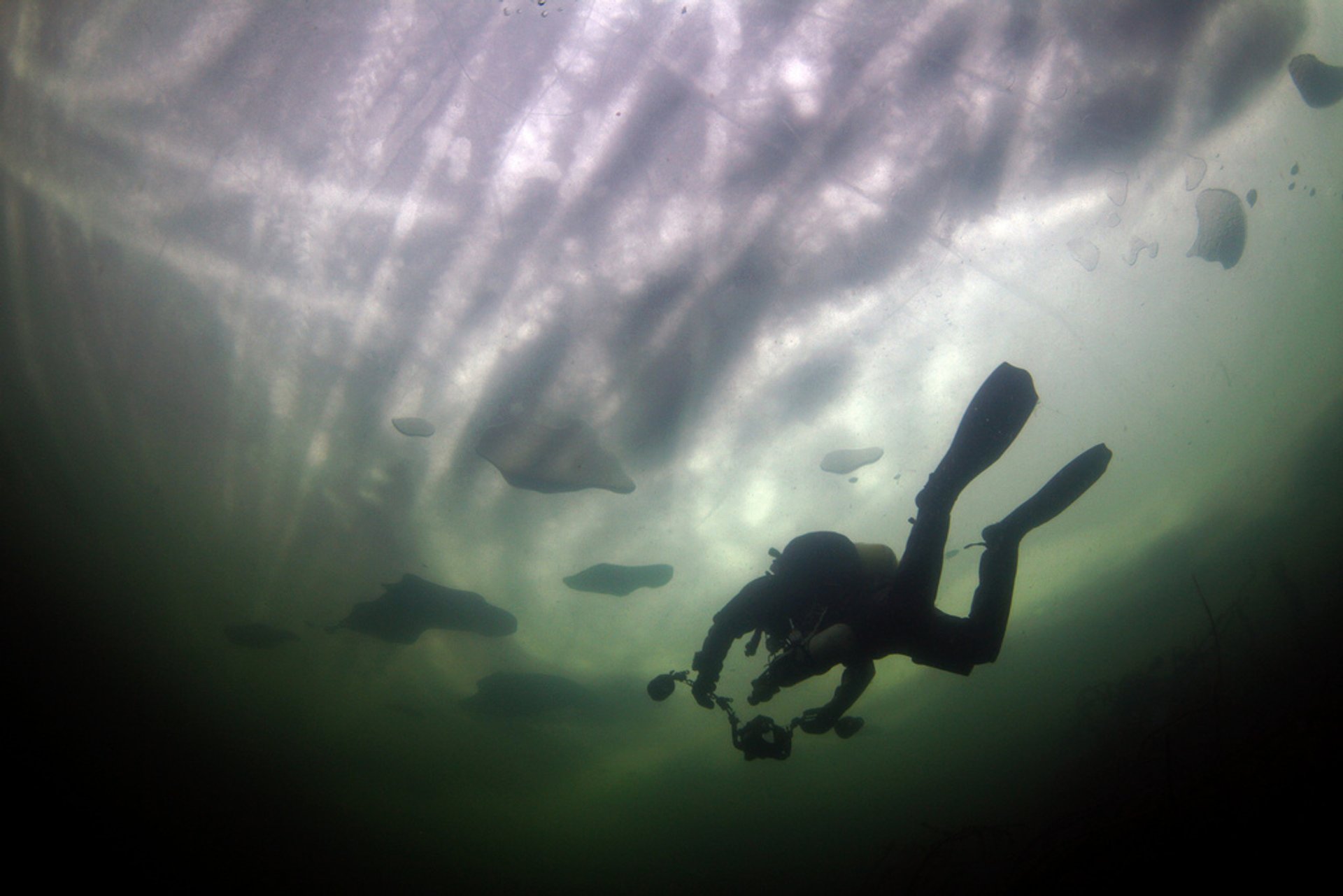 Buceo en hielo