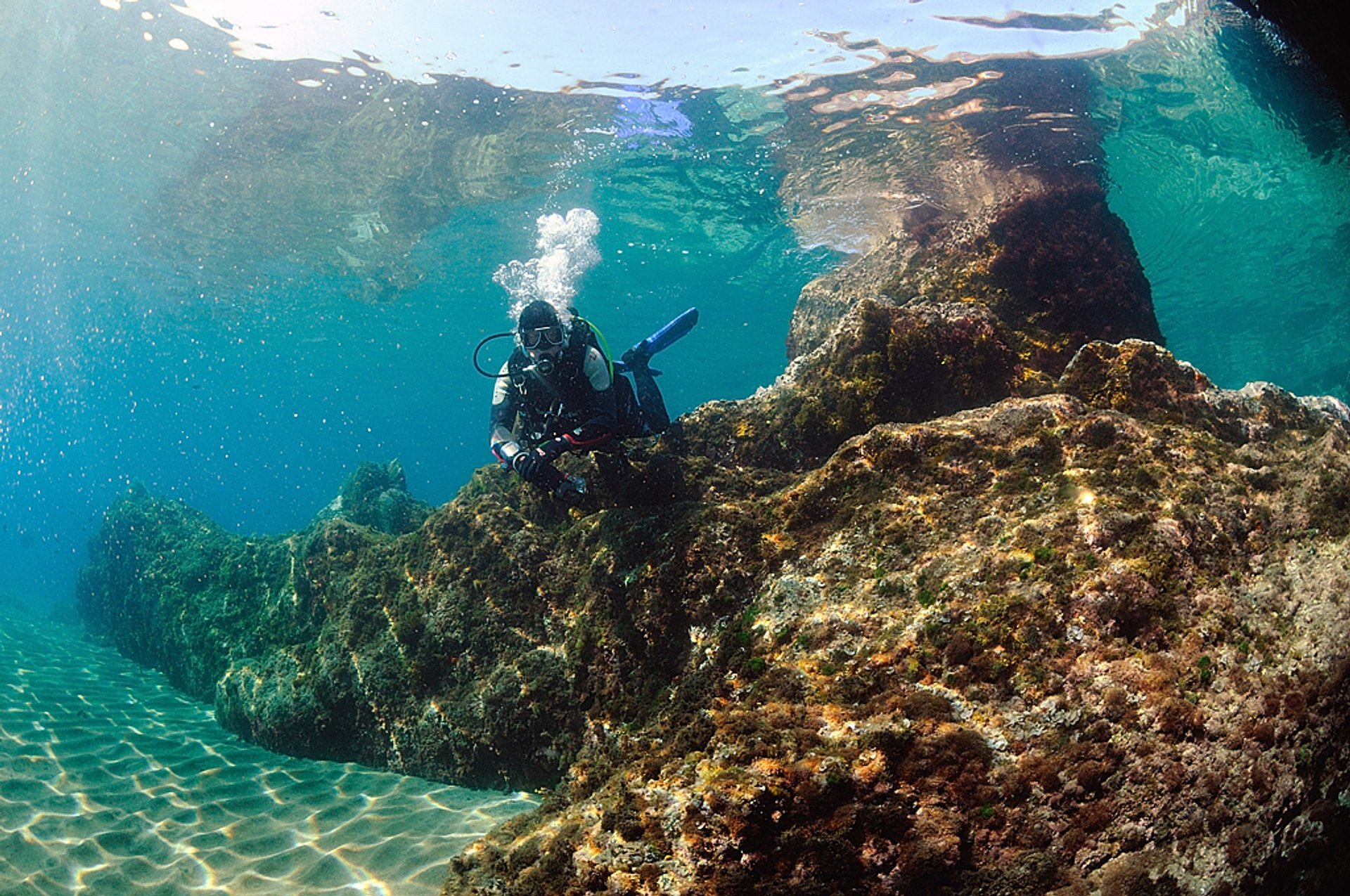 Immersioni e snorkeling