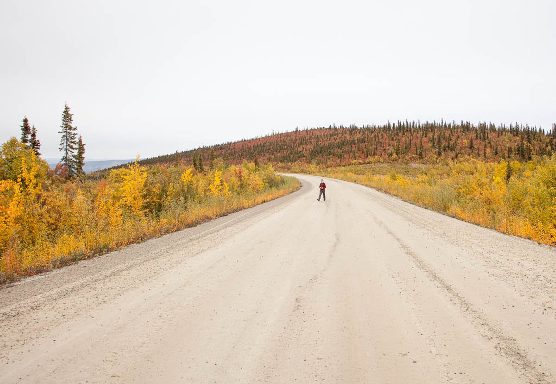 Best time for Top of the World Highway in Alaska 2024 Best Season