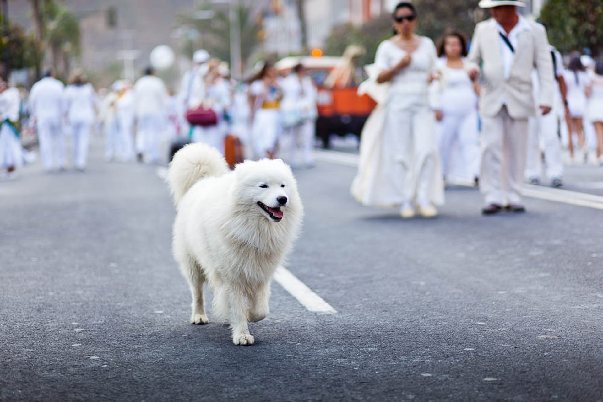 Carnevale Los Indianos a La Palma