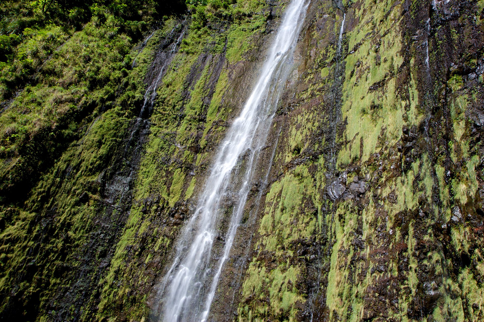 Hiking